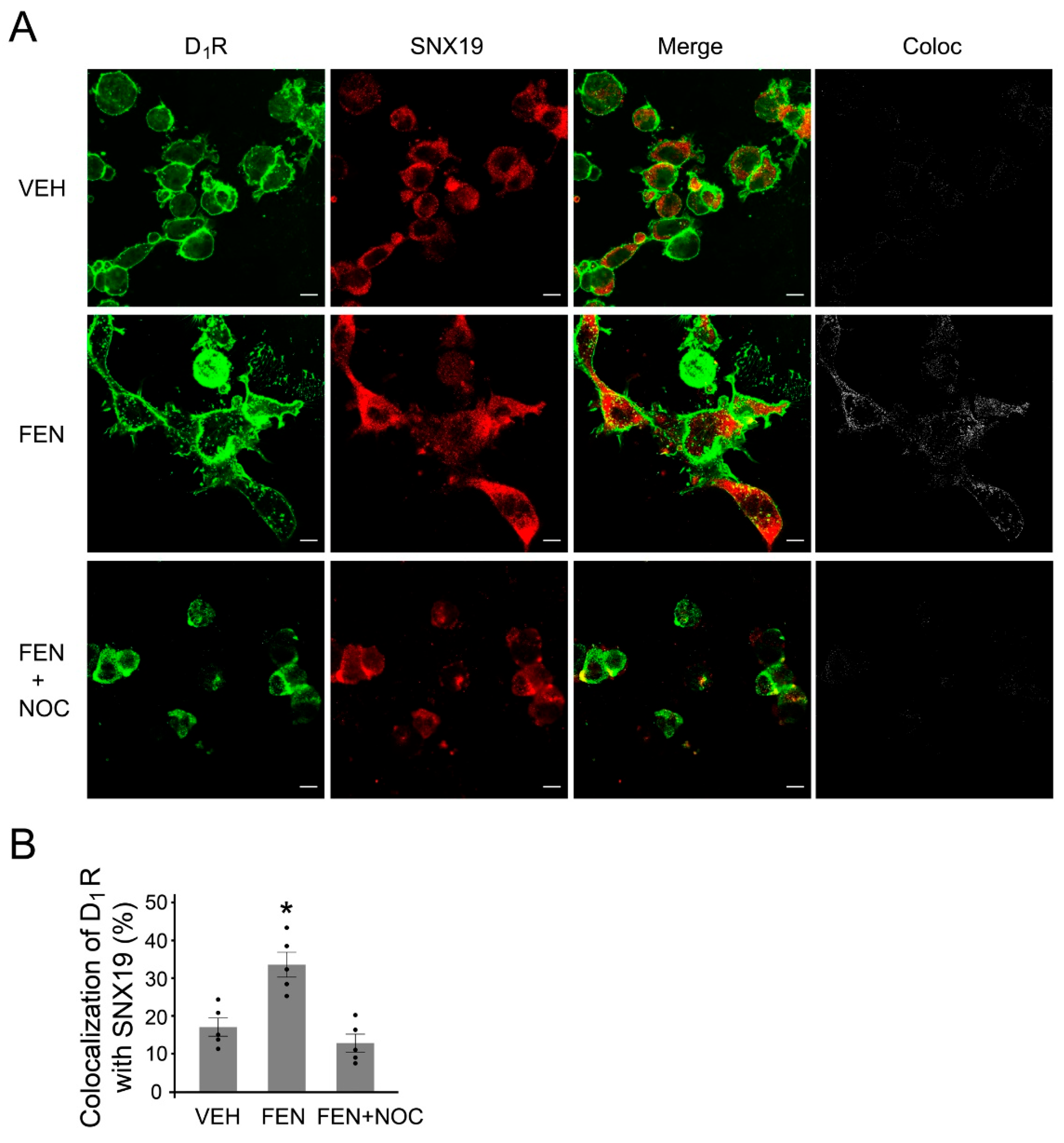 Biomedicines 13 00481 g007