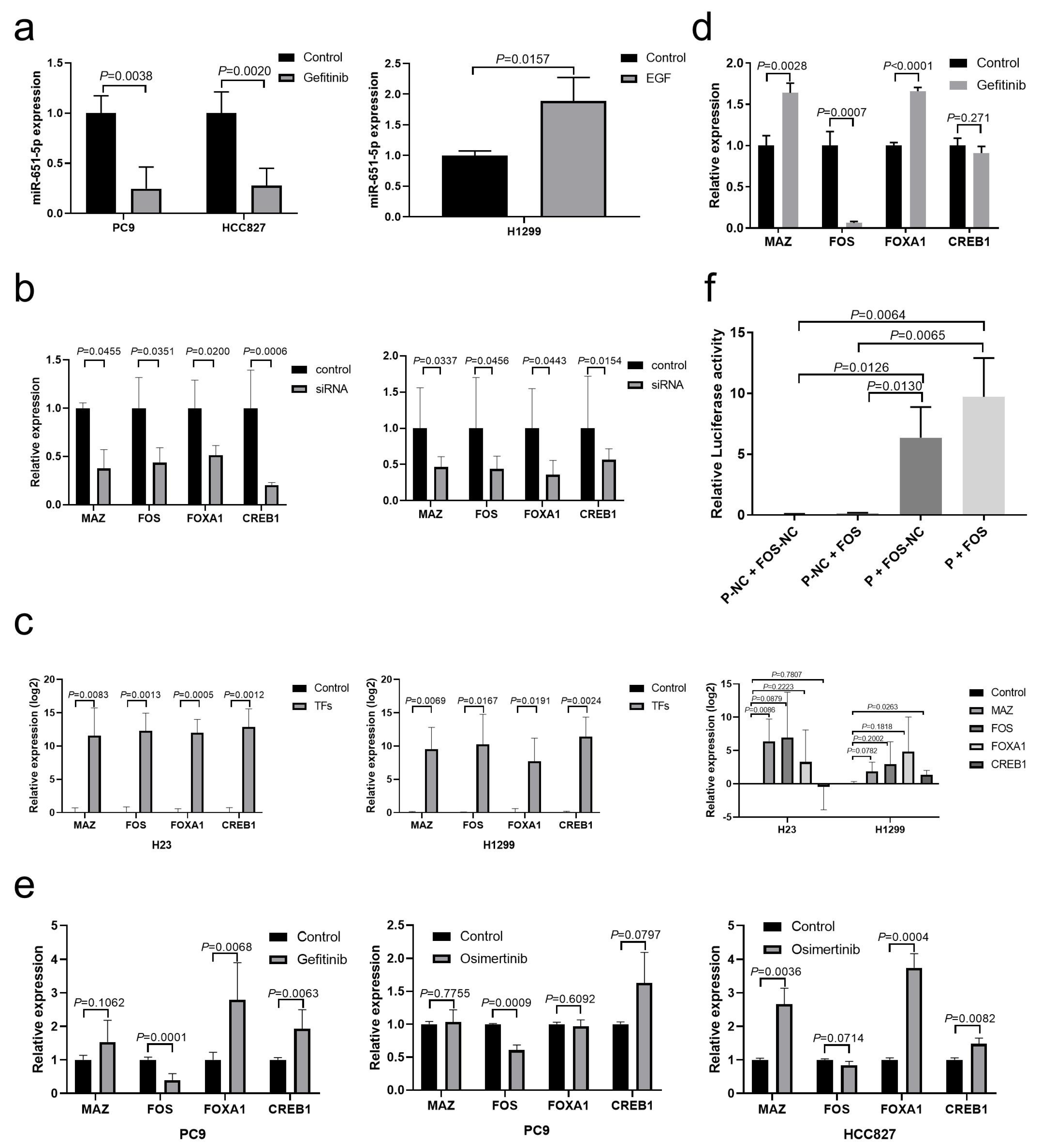 Biomedicines 13 00482 g004