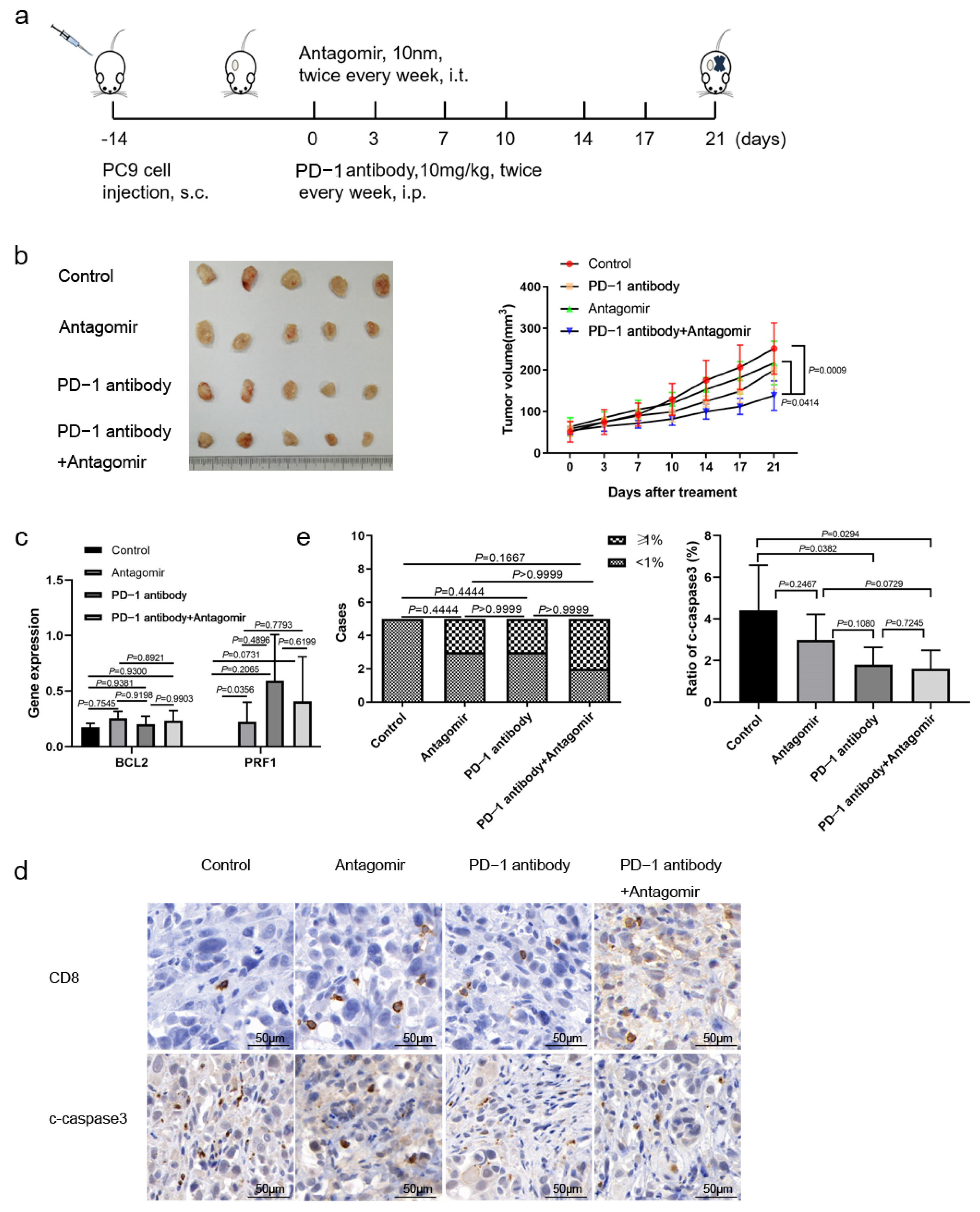 Biomedicines 13 00482 g006