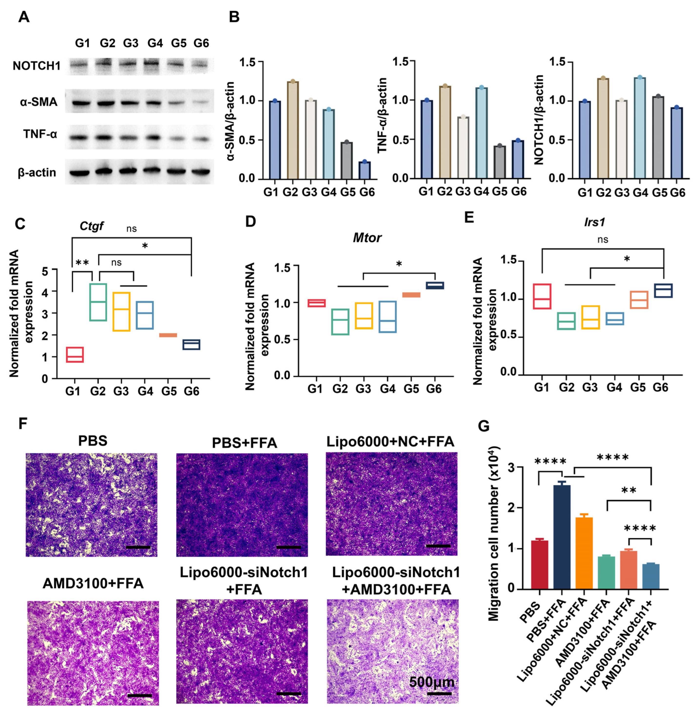 Biomedicines 13 00486 g004