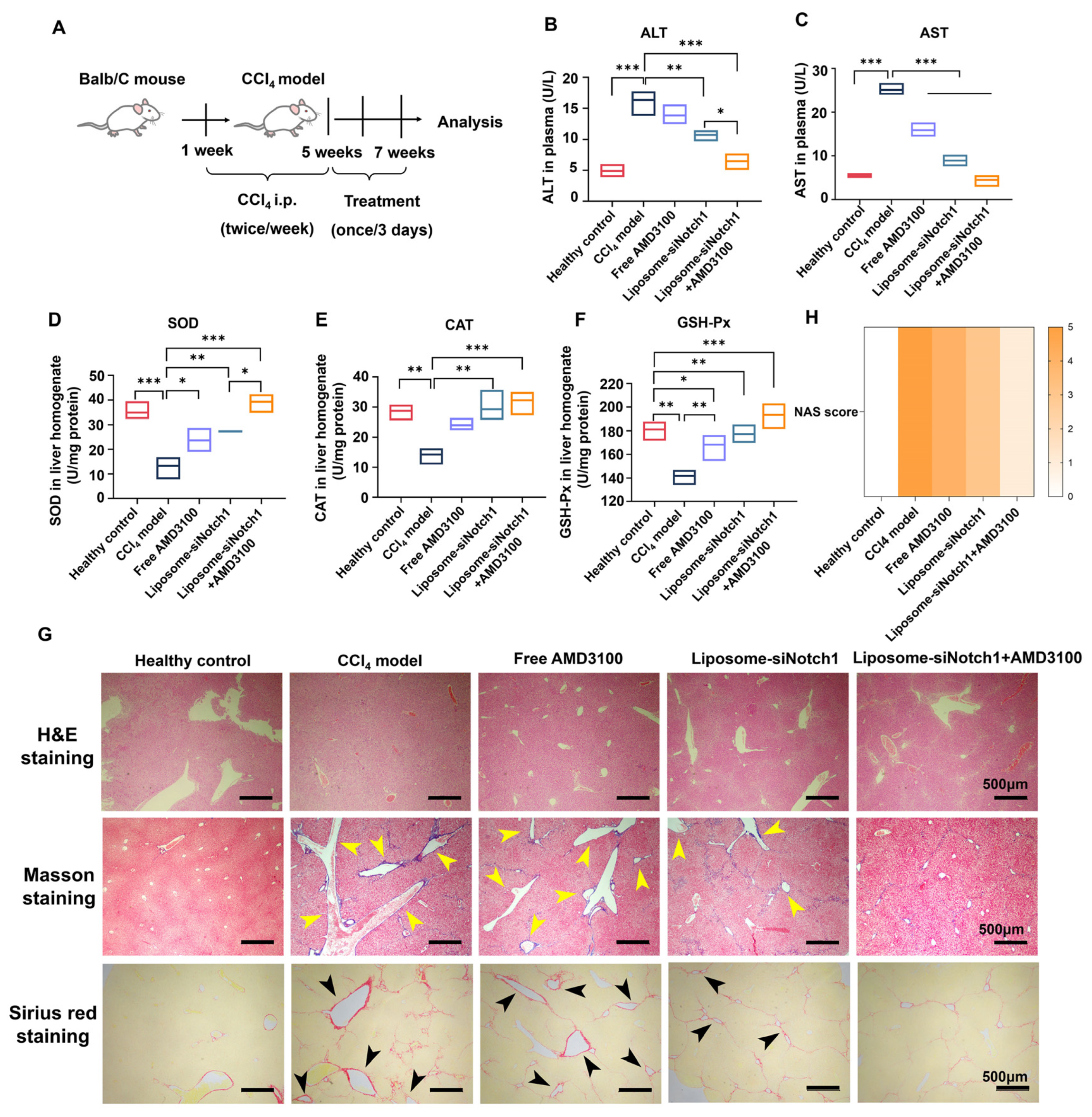 Biomedicines 13 00486 g005