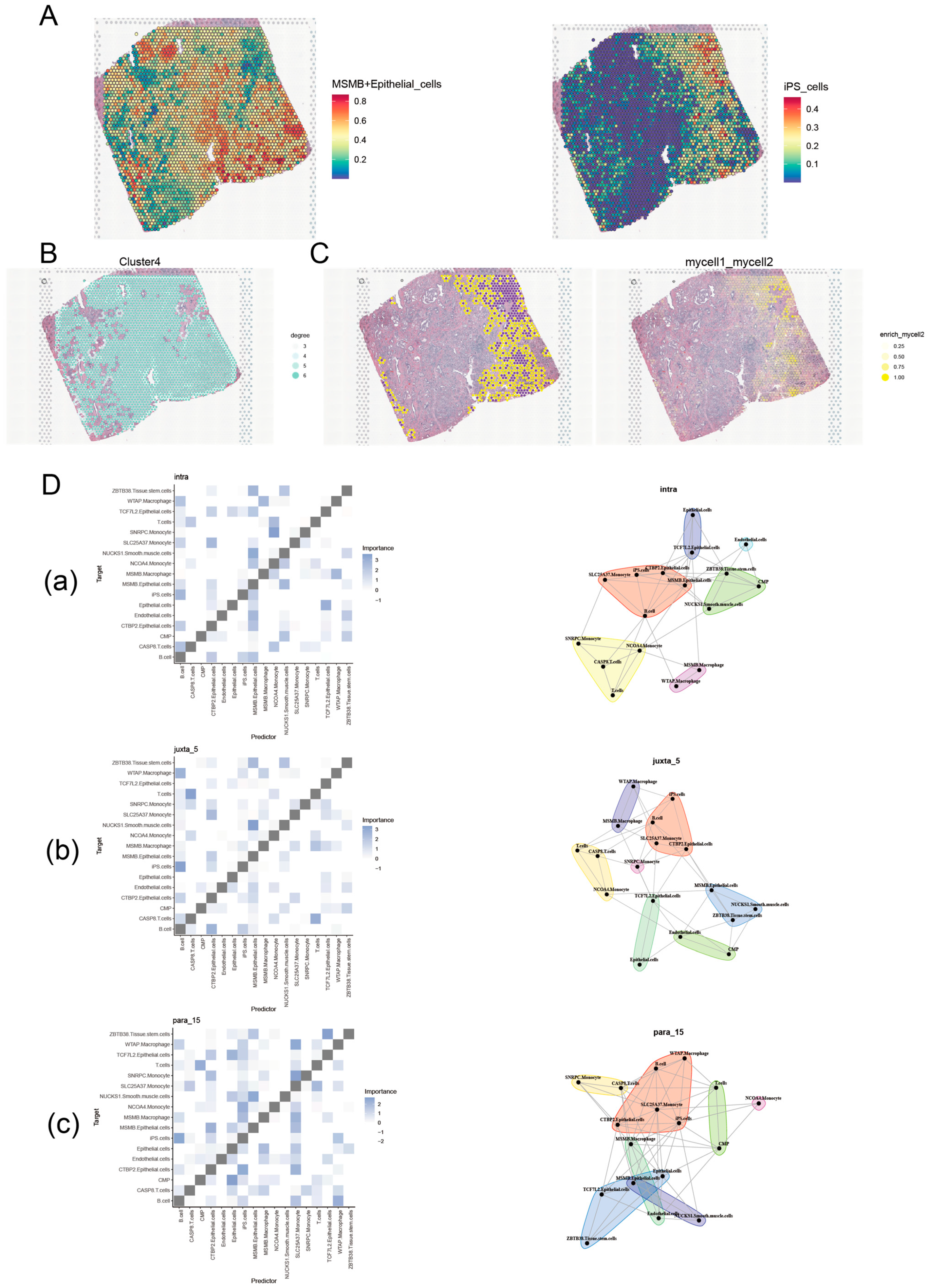 Biomedicines 13 00487 g002