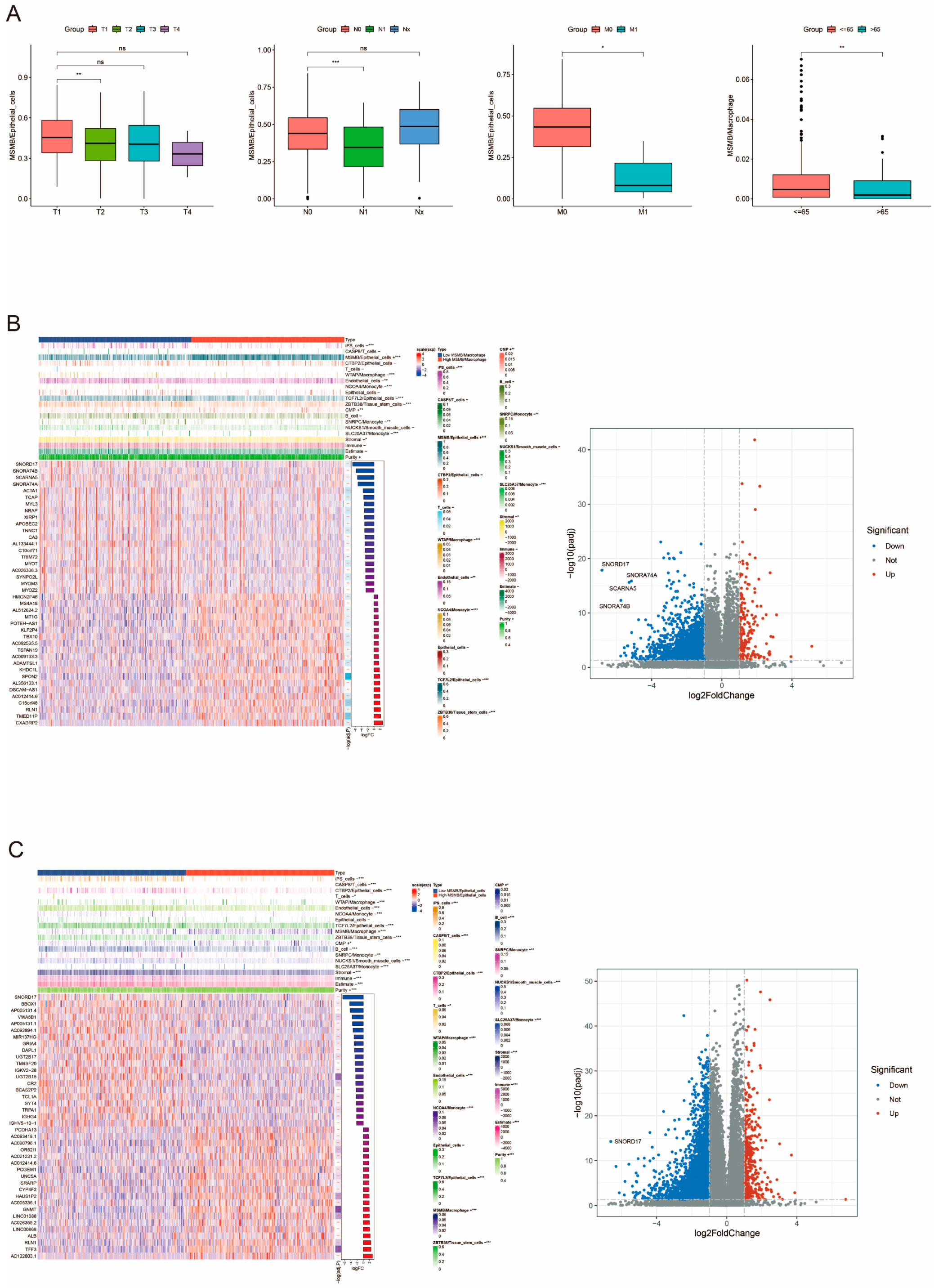 Biomedicines 13 00487 g005