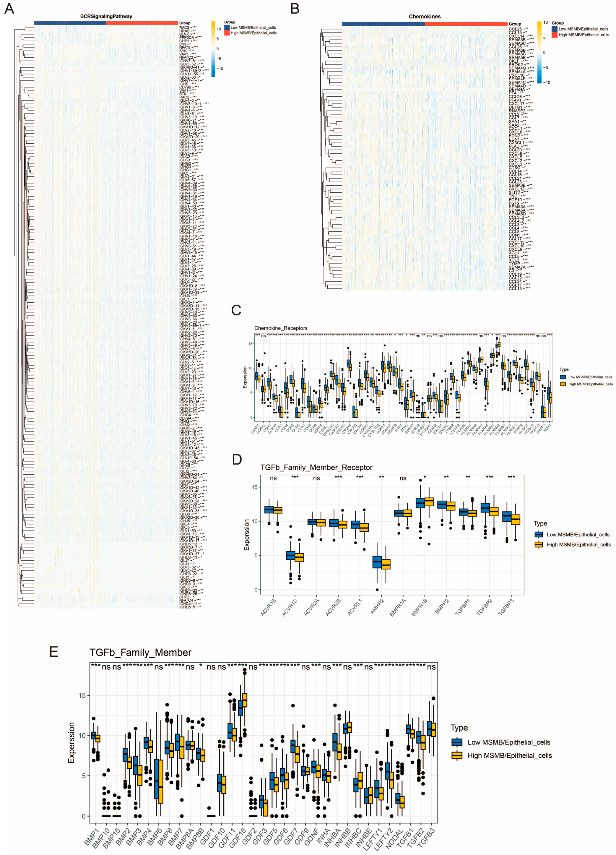 Biomedicines 13 00487 g006