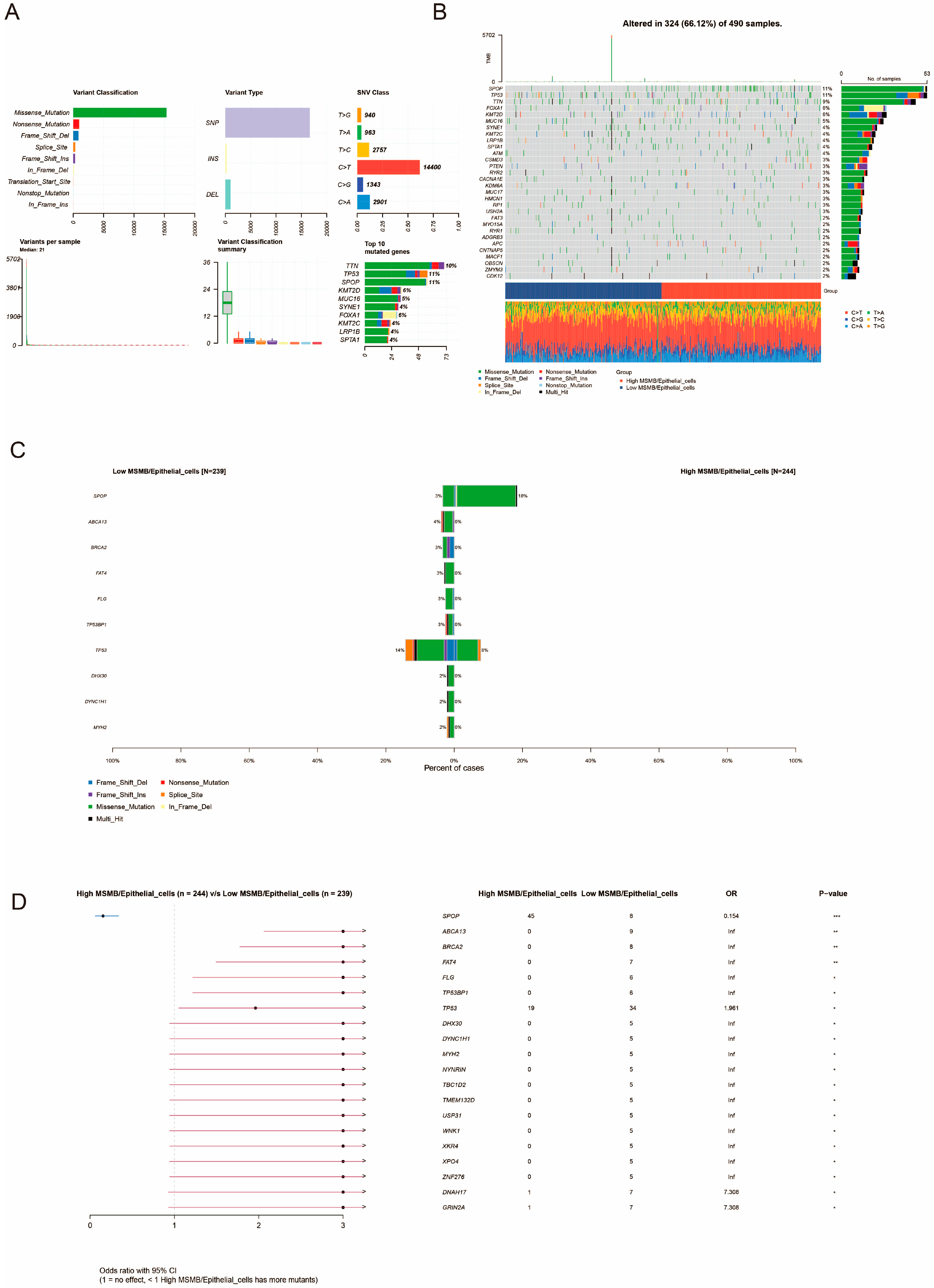 Biomedicines 13 00487 g008