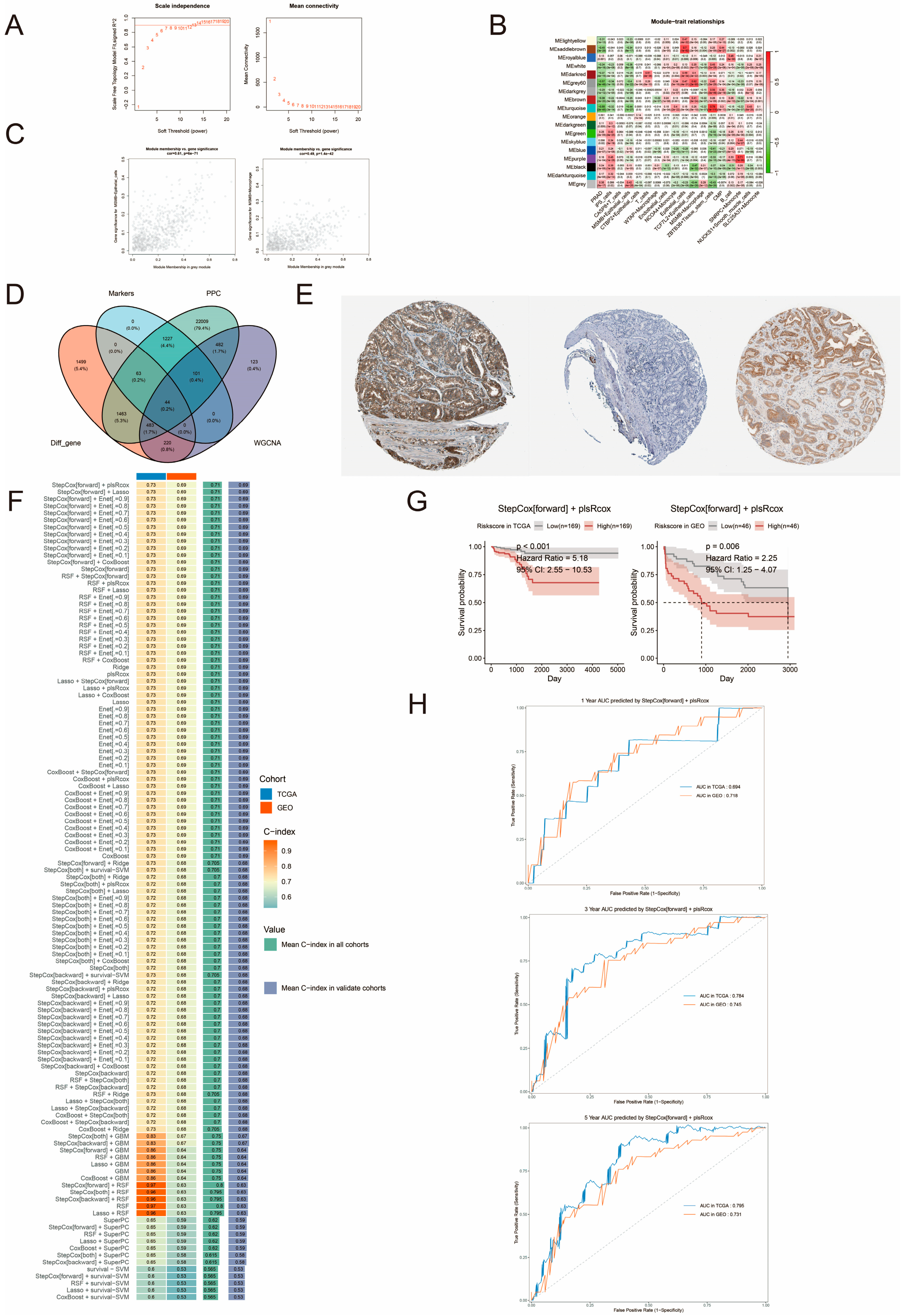 Biomedicines 13 00487 g009