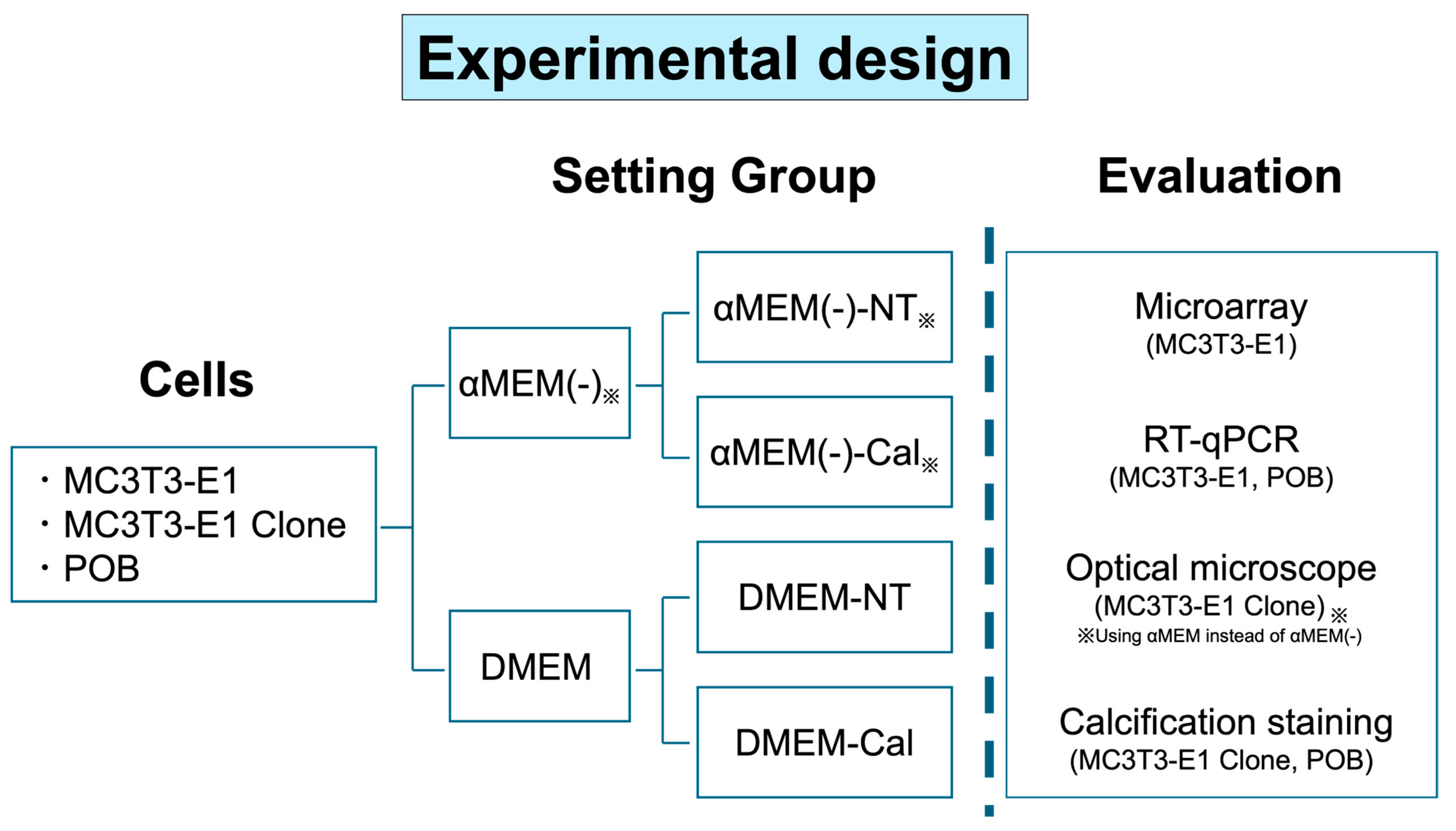 Biomedicines 13 00489 g001
