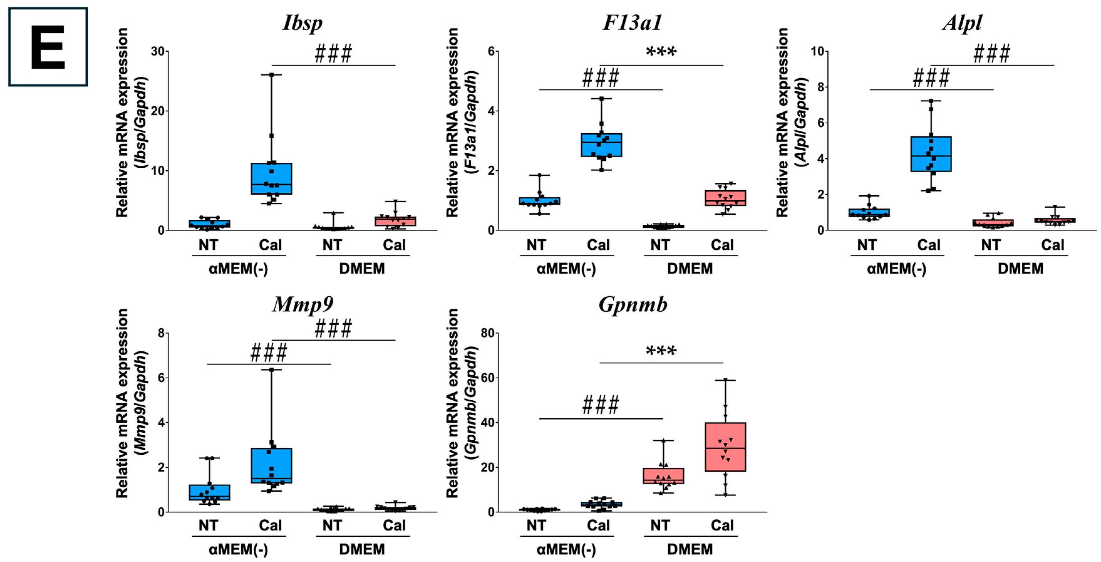 Biomedicines 13 00489 g005c
