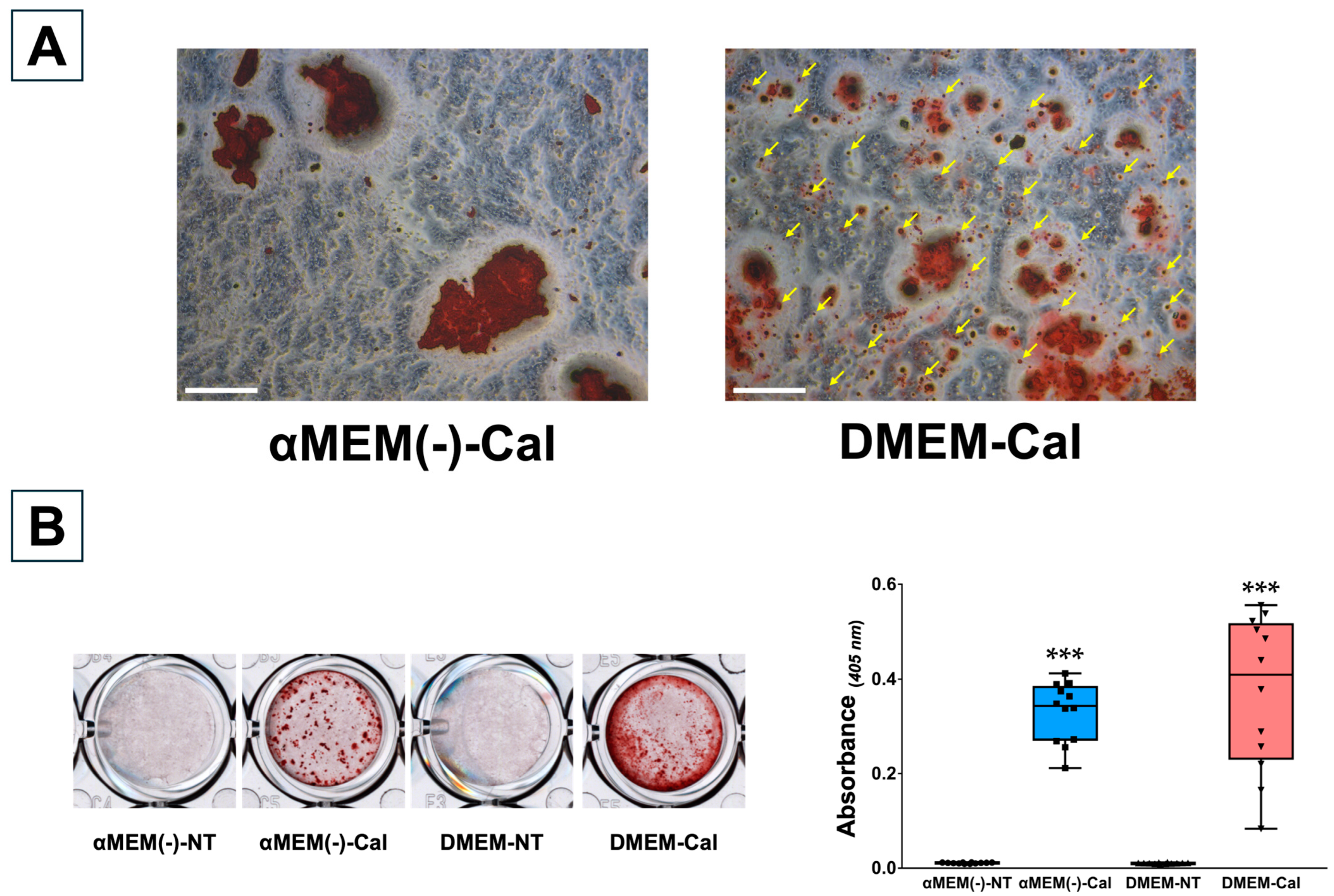 Biomedicines 13 00489 g006