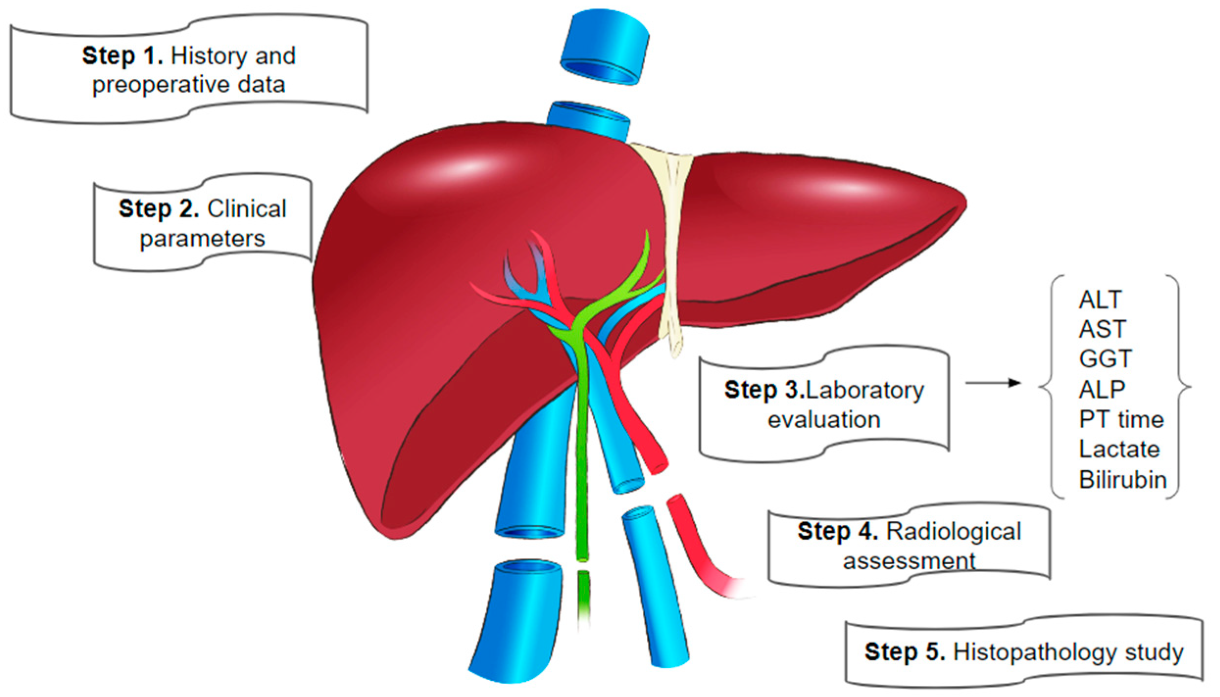 Biomedicines 13 00494 g001