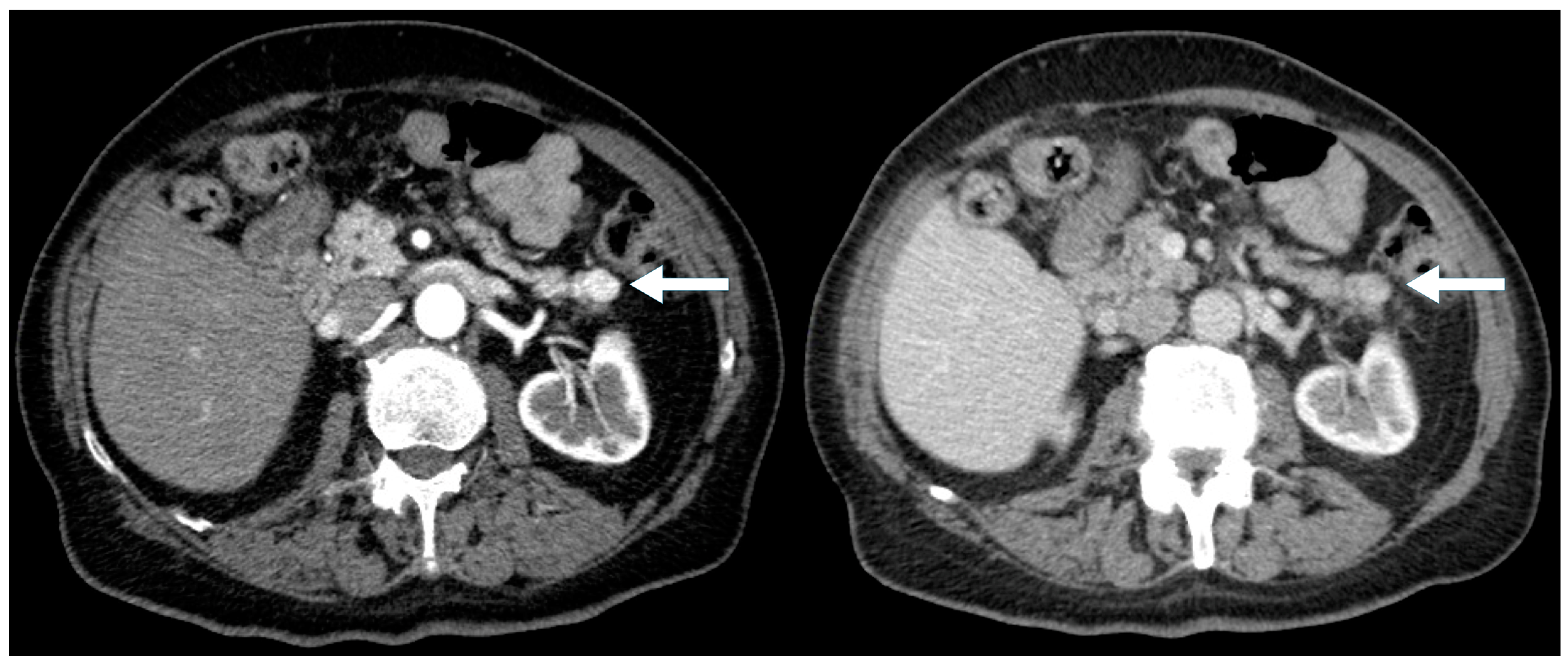 Biomedicines 13 00496 g001