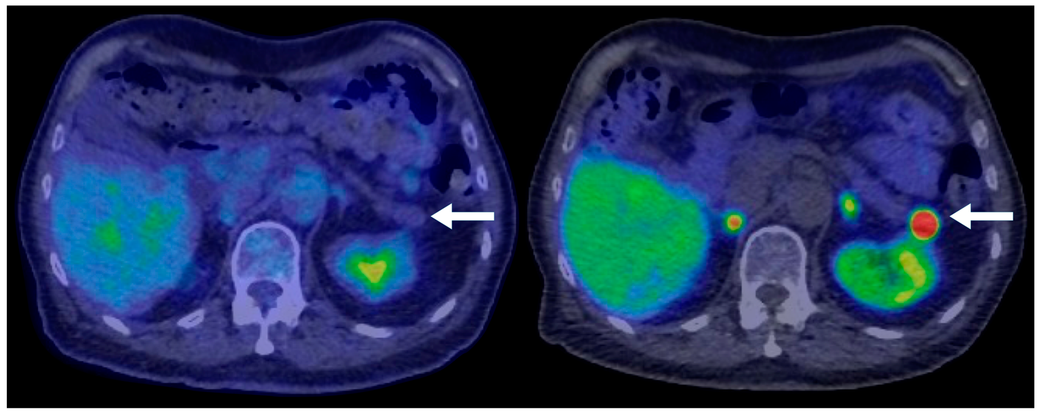 Biomedicines 13 00496 g002