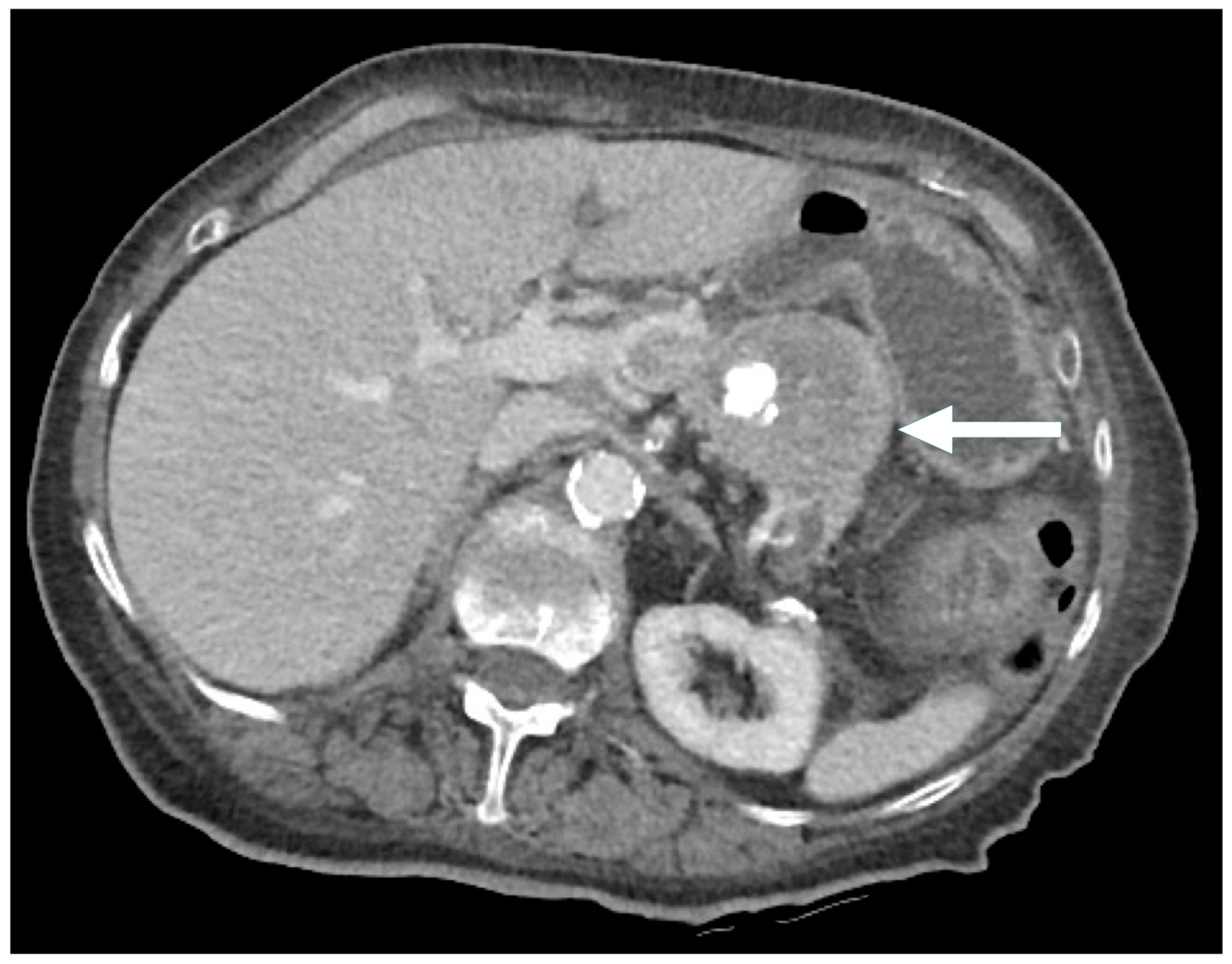 Biomedicines 13 00496 g008