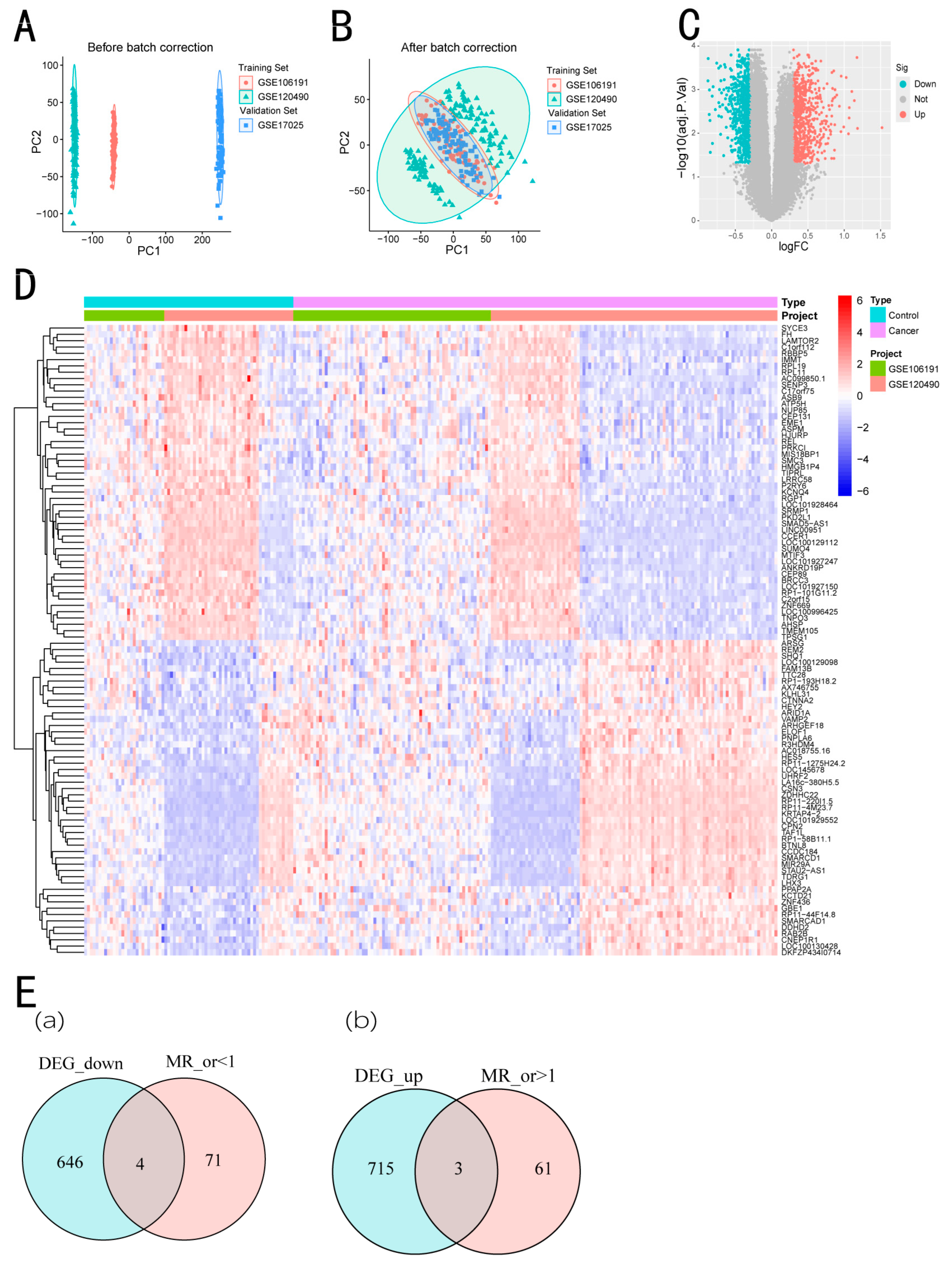 Biomedicines 13 00498 g002