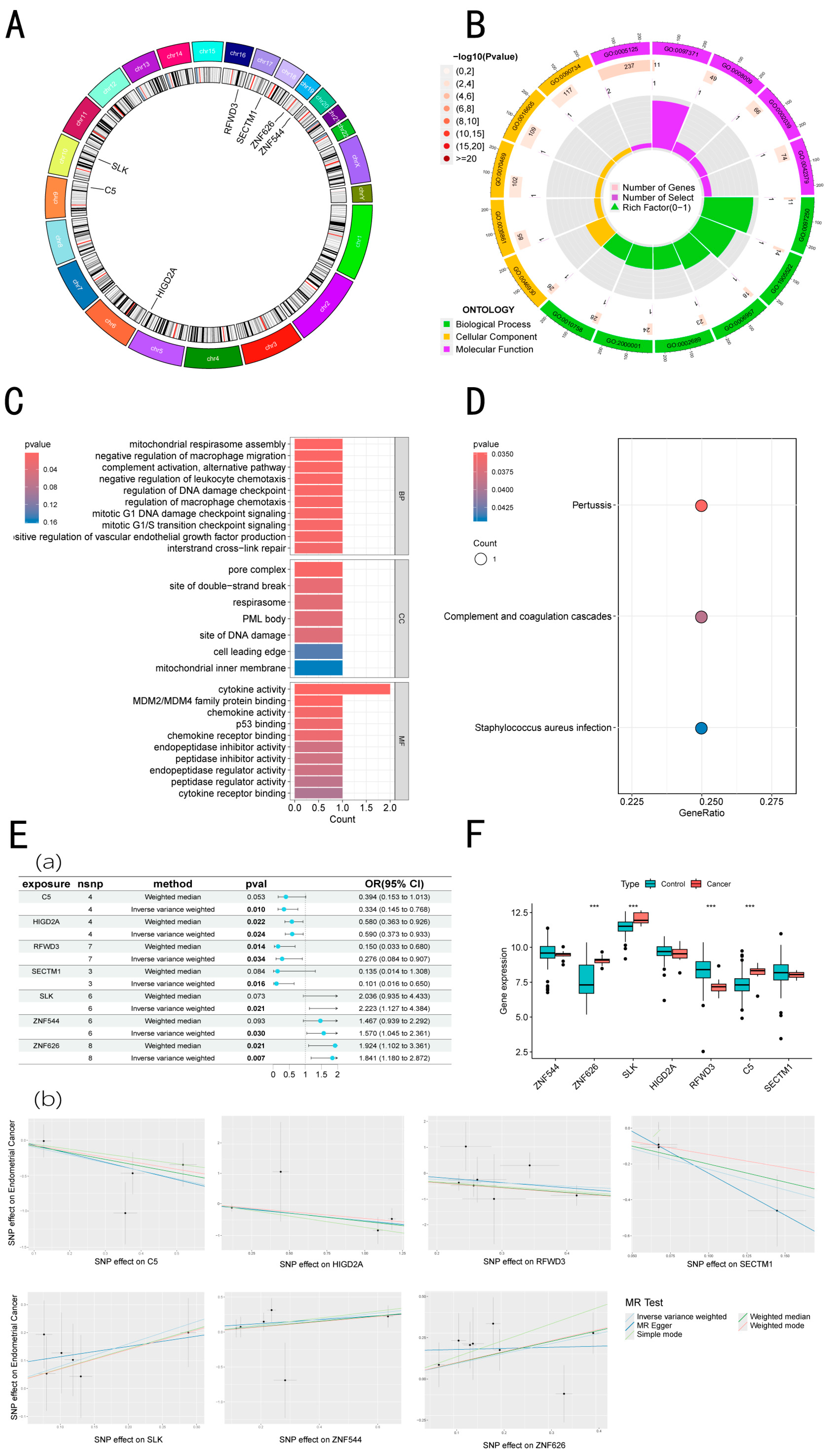 Biomedicines 13 00498 g003