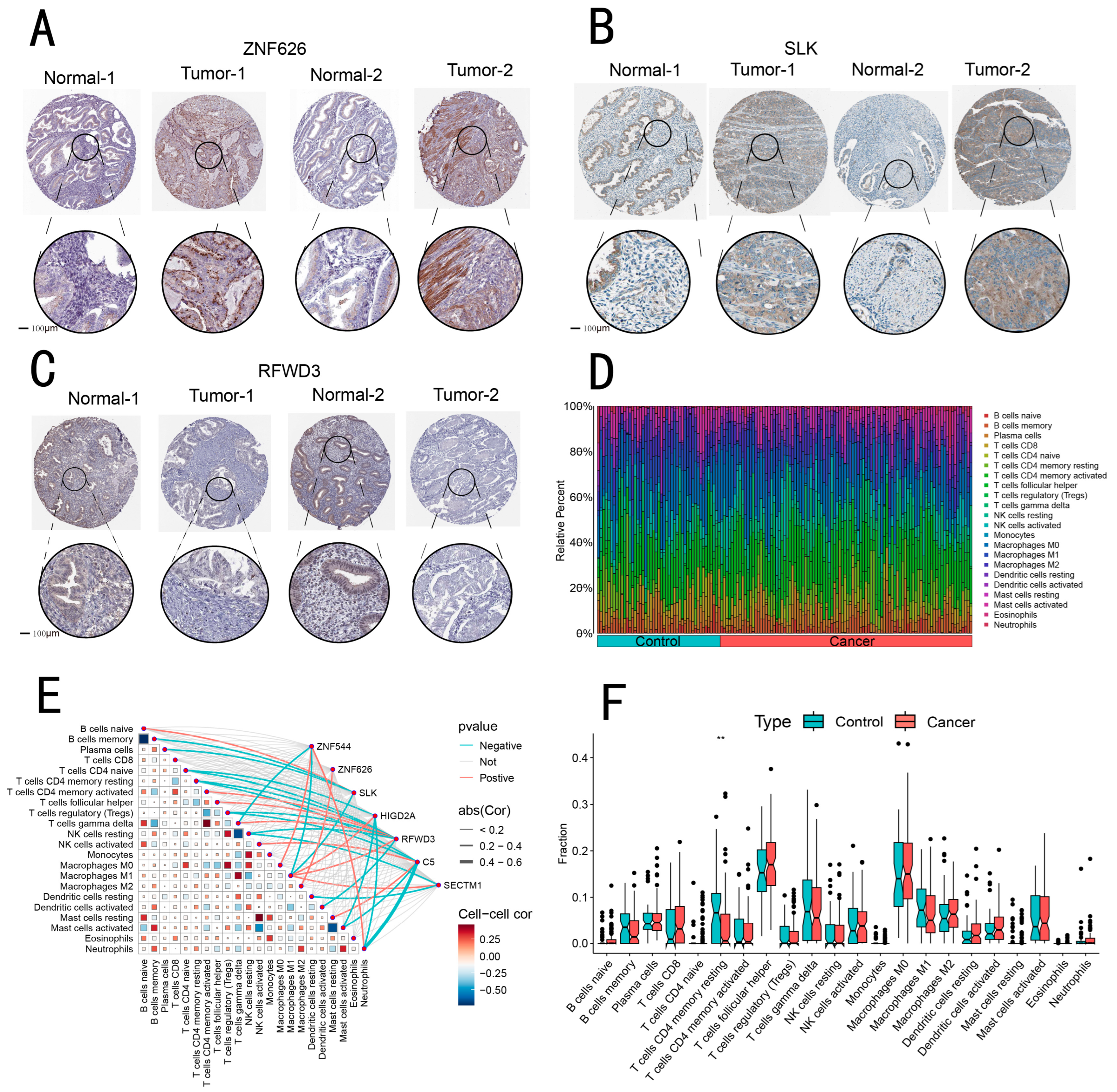 Biomedicines 13 00498 g004