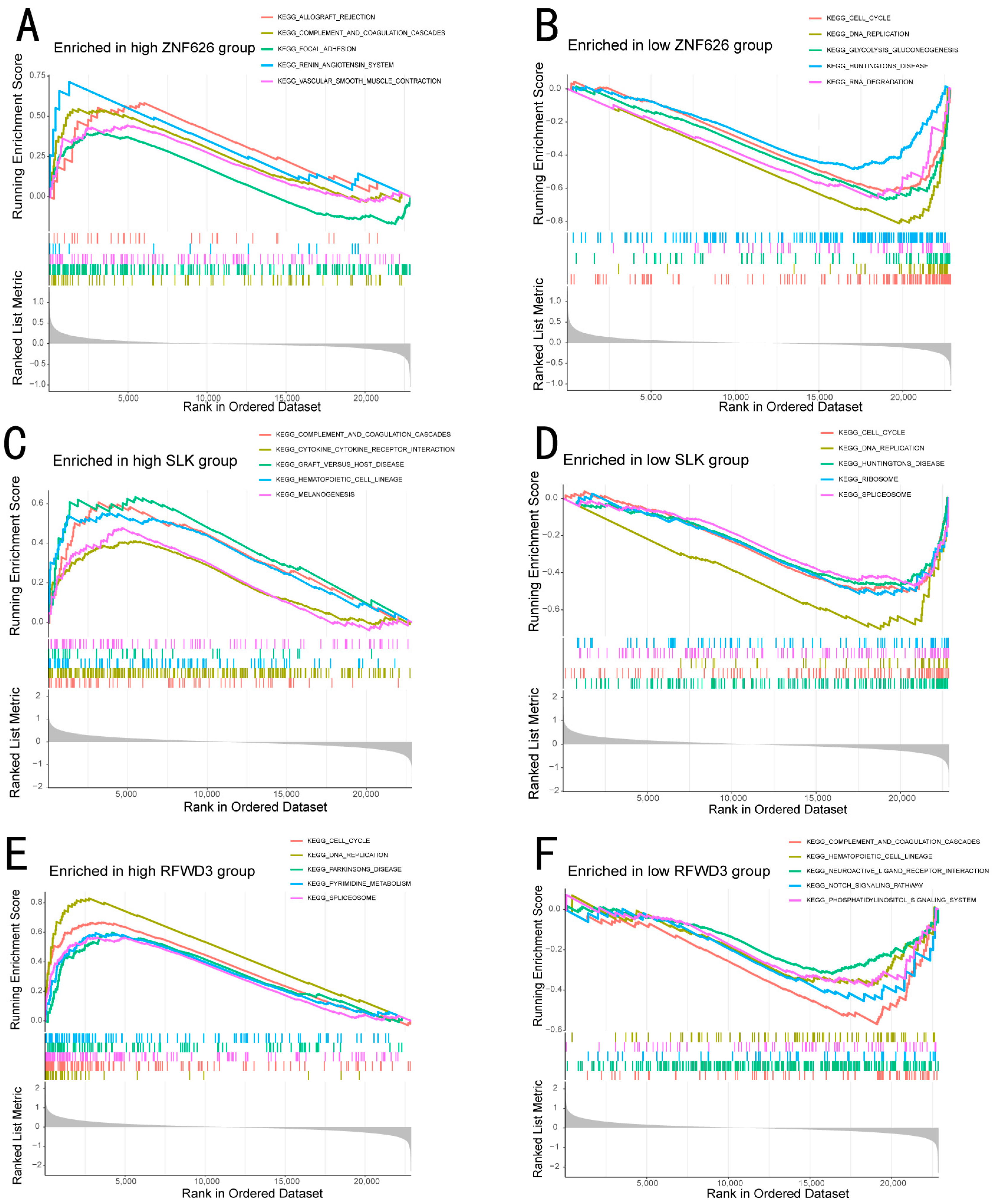 Biomedicines 13 00498 g005