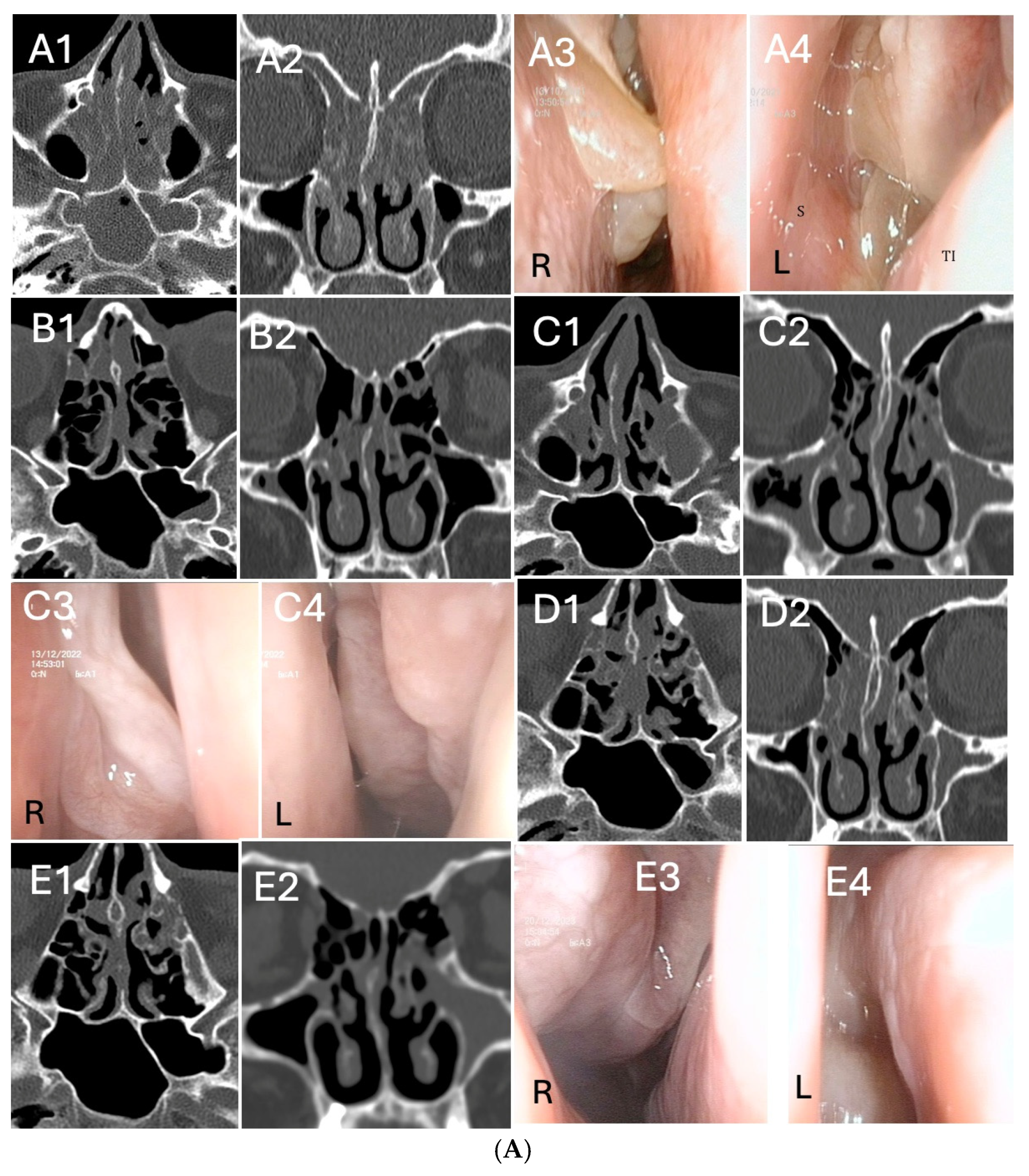 Biomedicines 13 00501 g003a