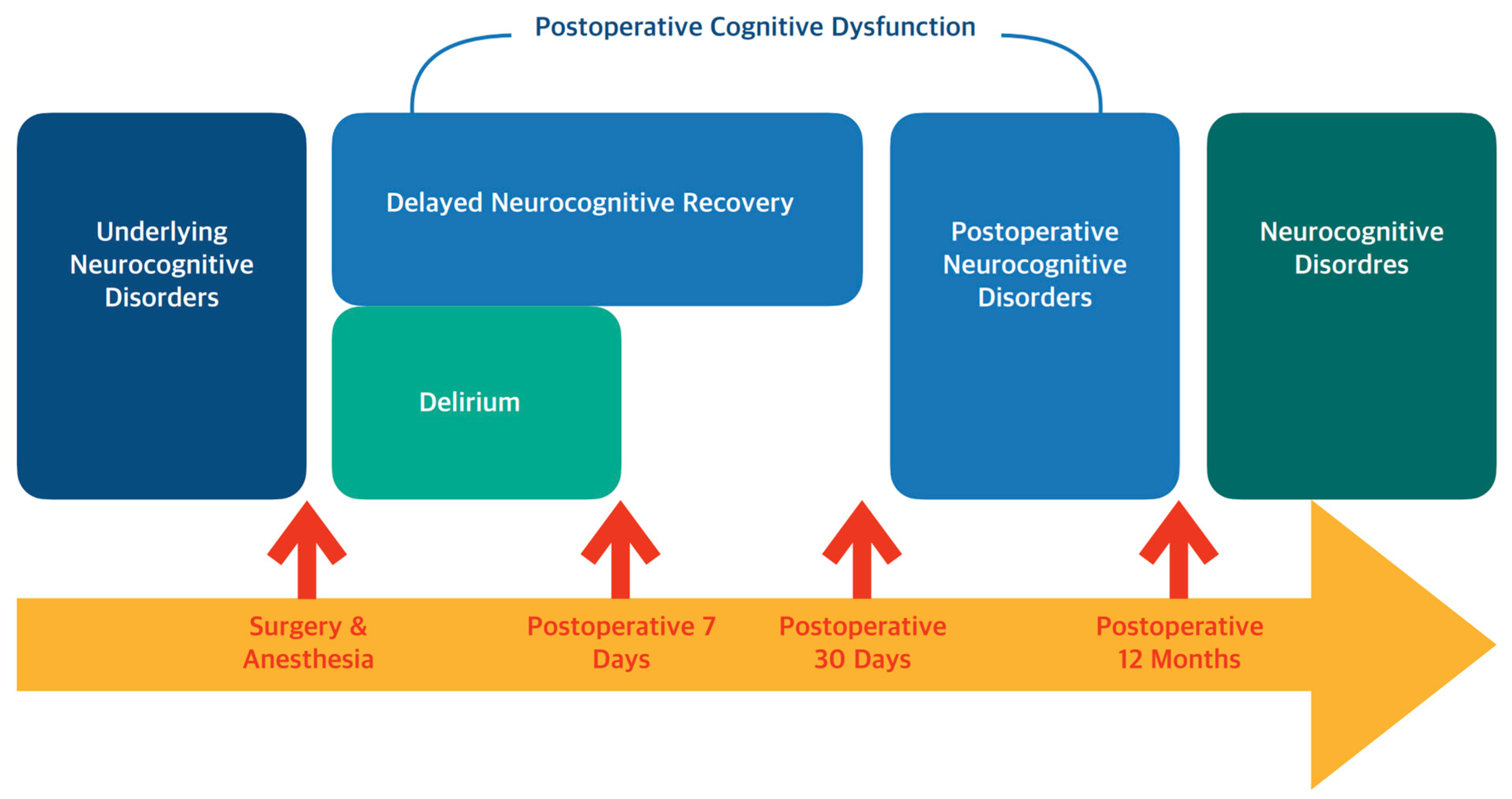 Biomedicines 13 00506 g001