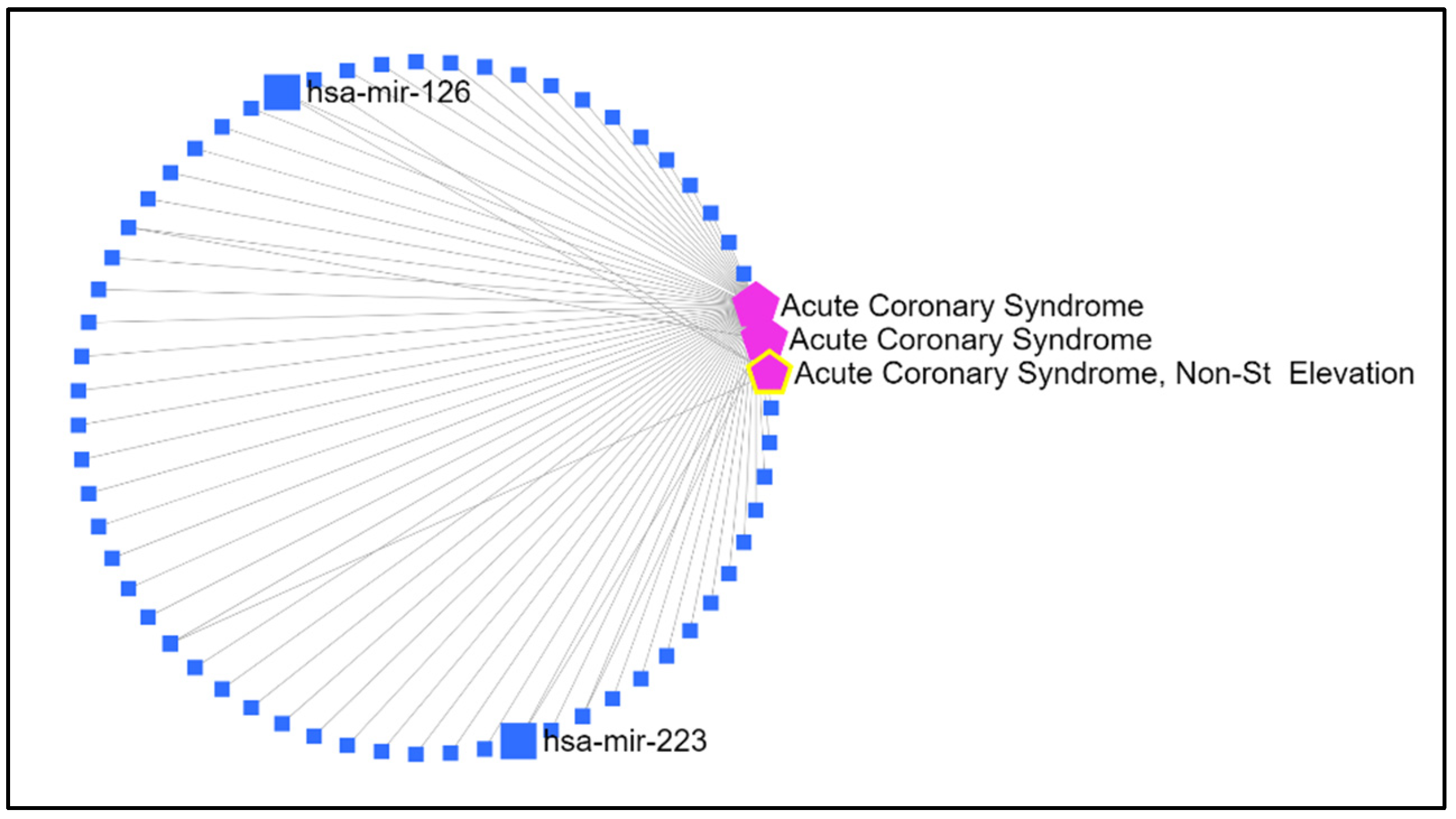Biomedicines 13 00510 g001