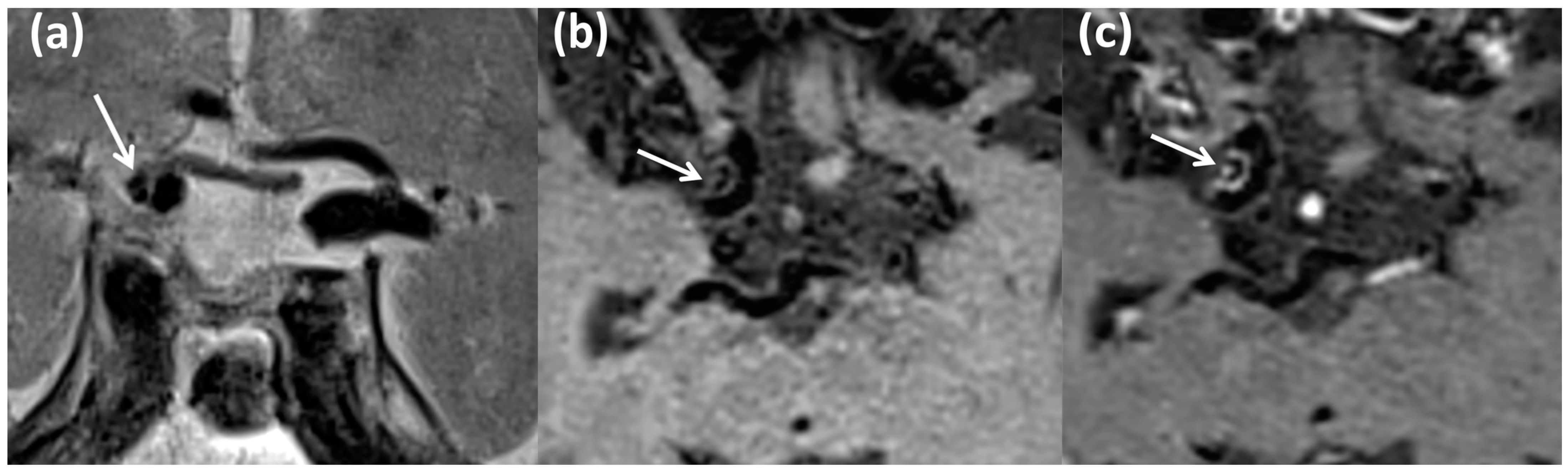 Biomedicines 13 00514 g003