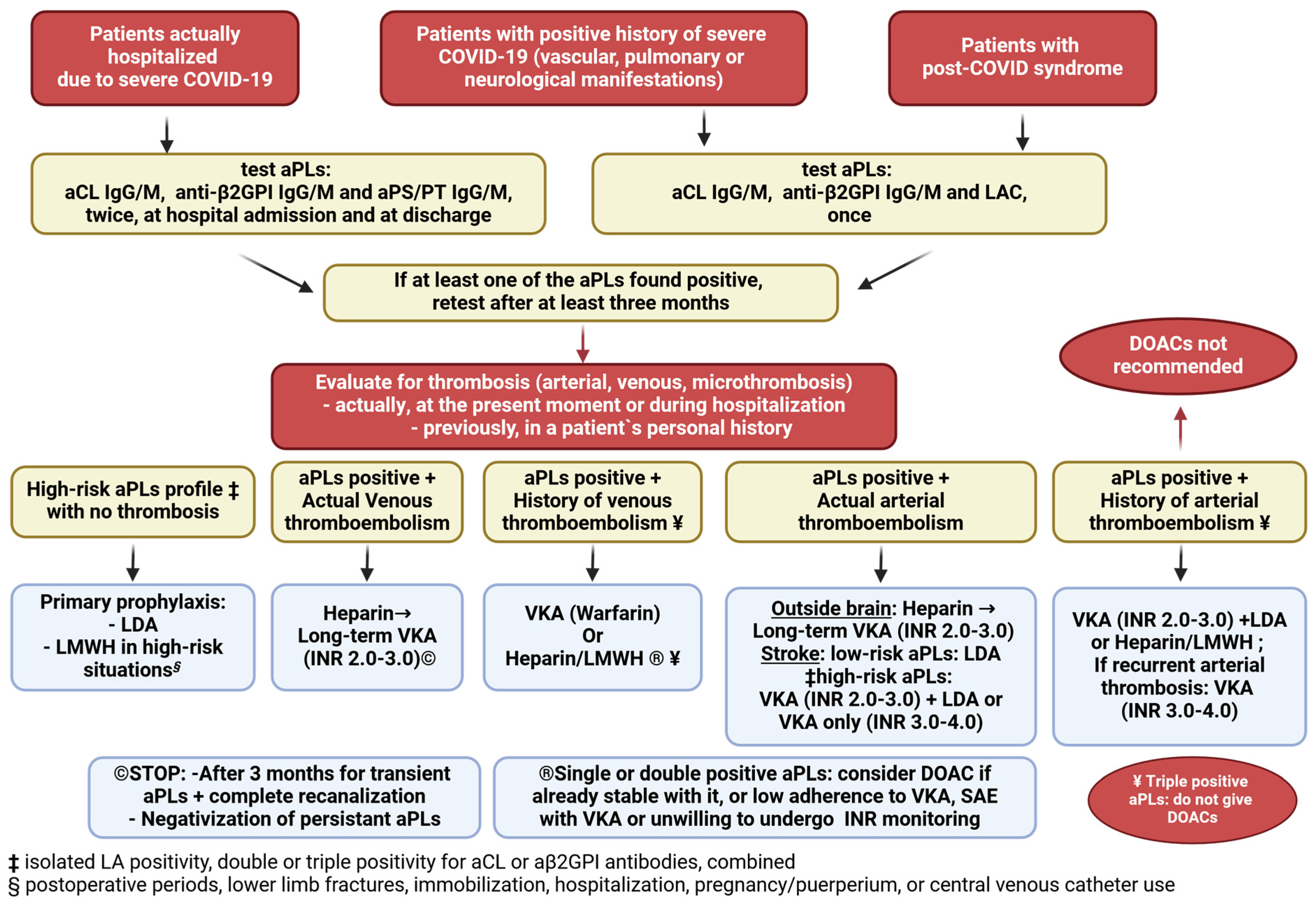 Biomedicines 13 00516 g002