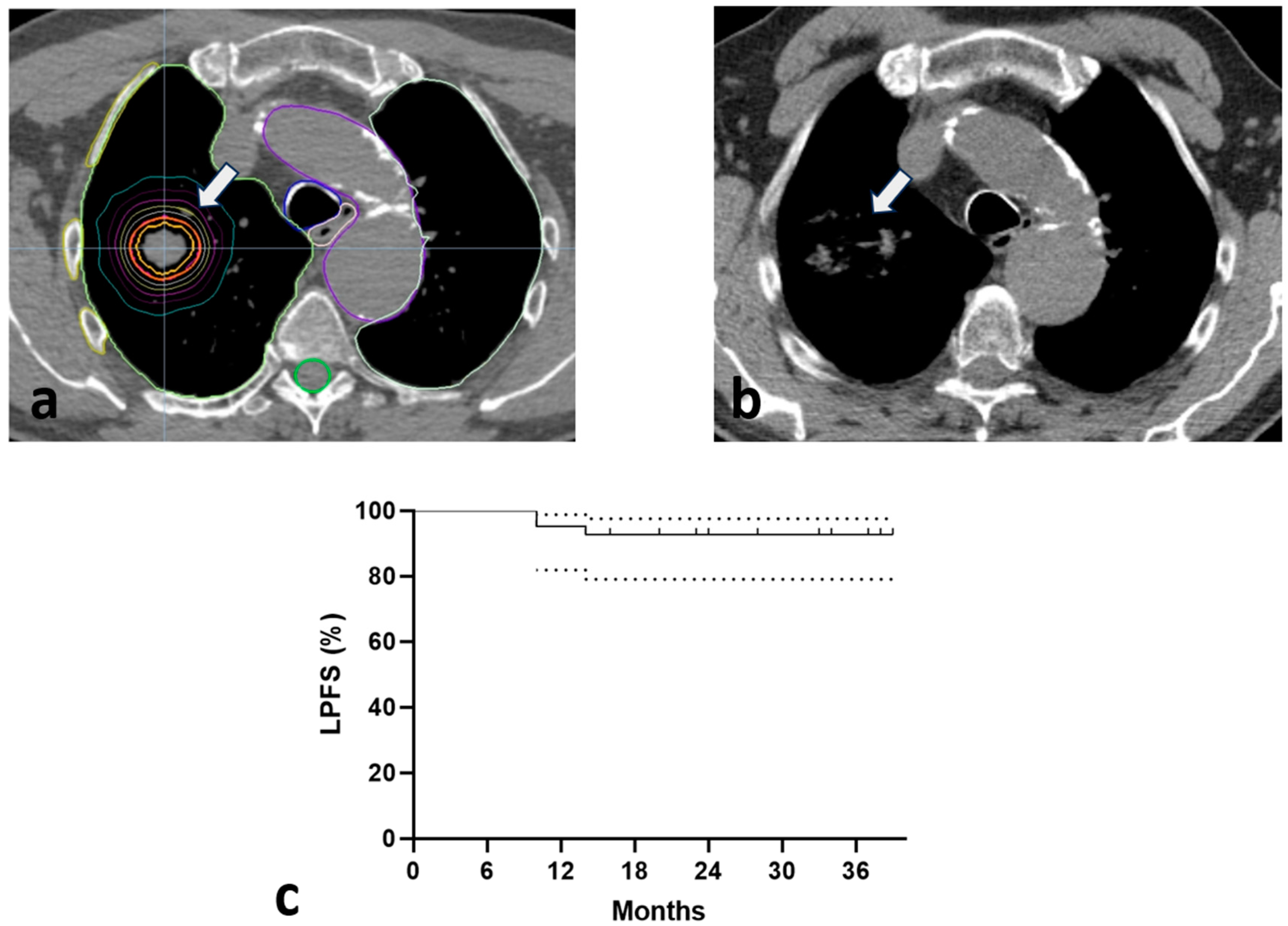 Biomedicines 13 00517 g001