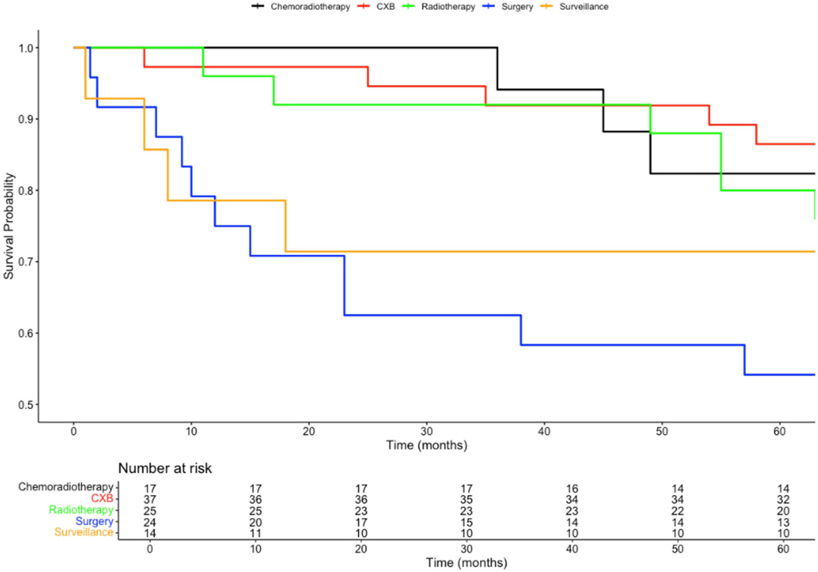 Biomedicines 13 00521 g002