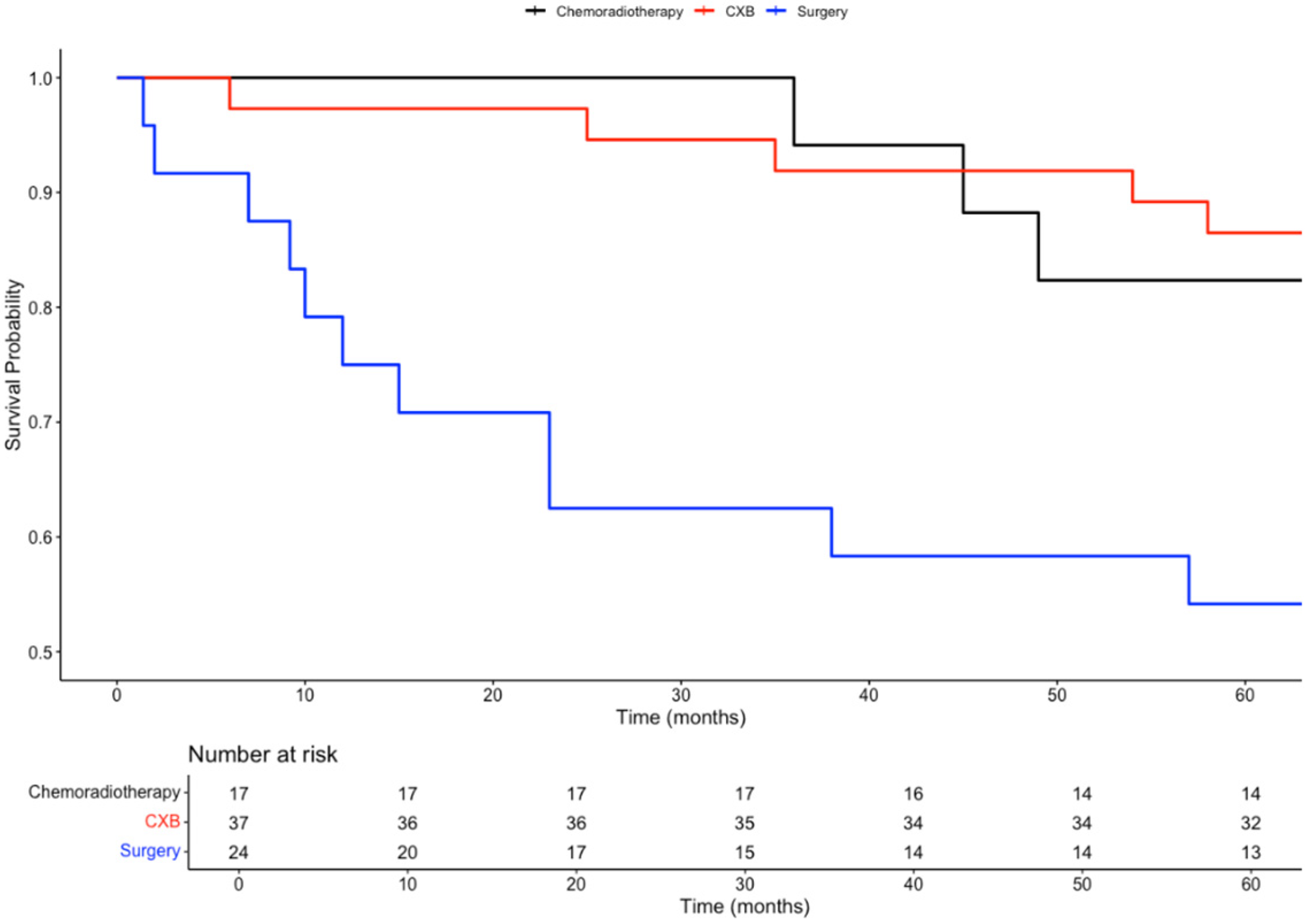 Biomedicines 13 00521 g004