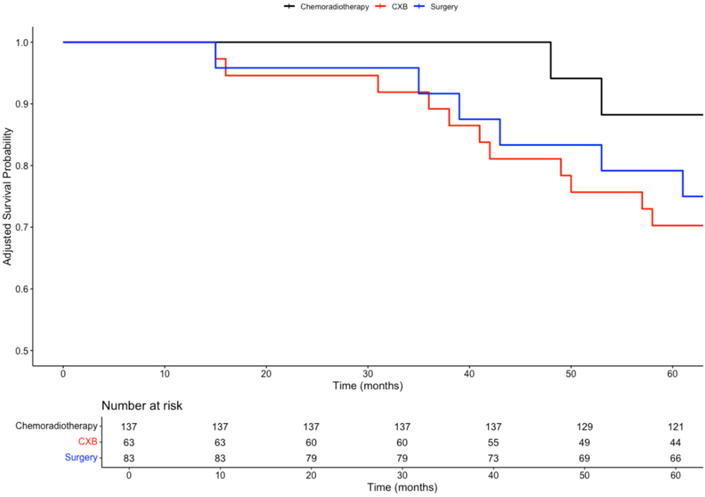 Biomedicines 13 00521 g005