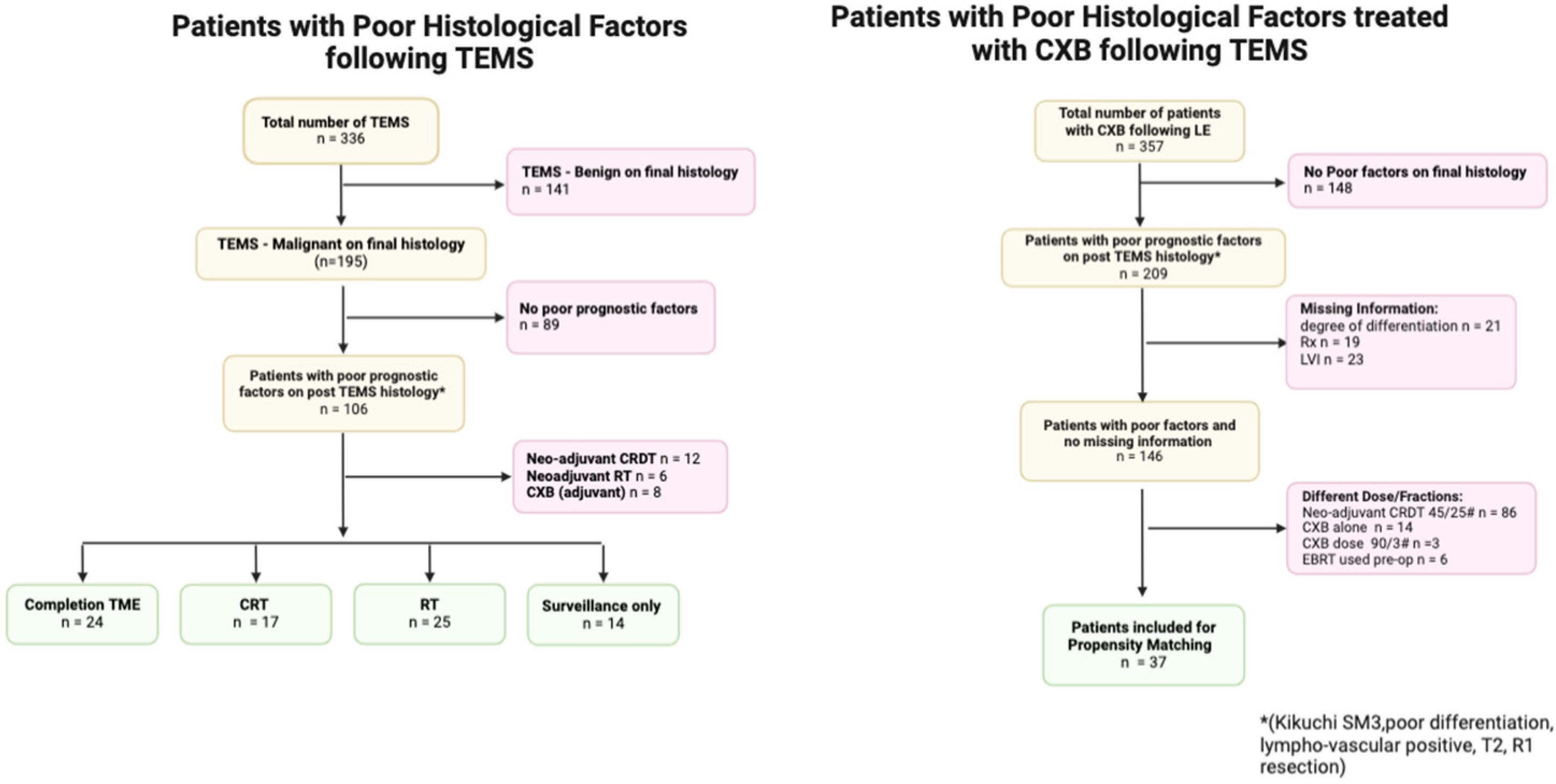 Biomedicines 13 00521 g0a1