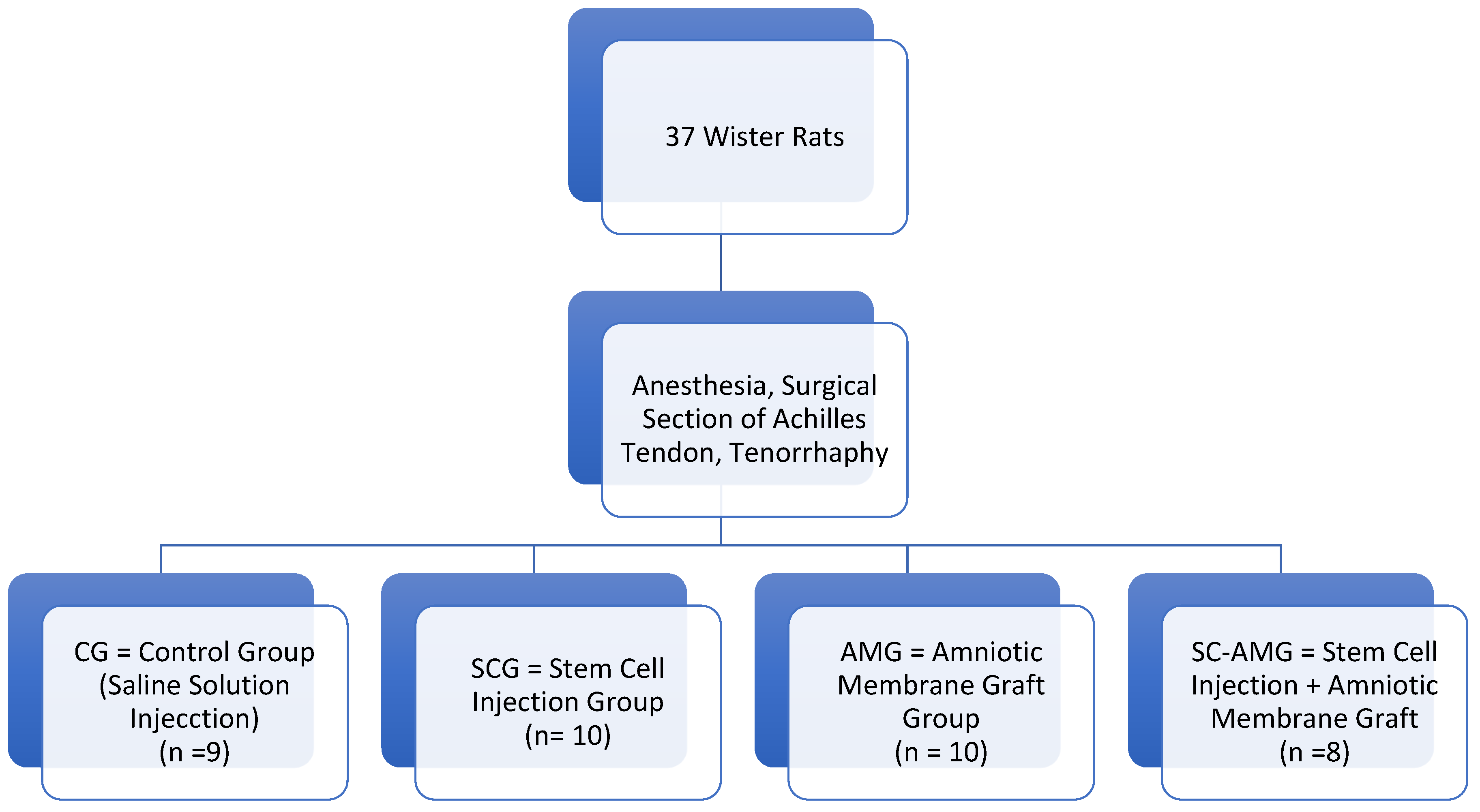 Biomedicines 13 00525 g002