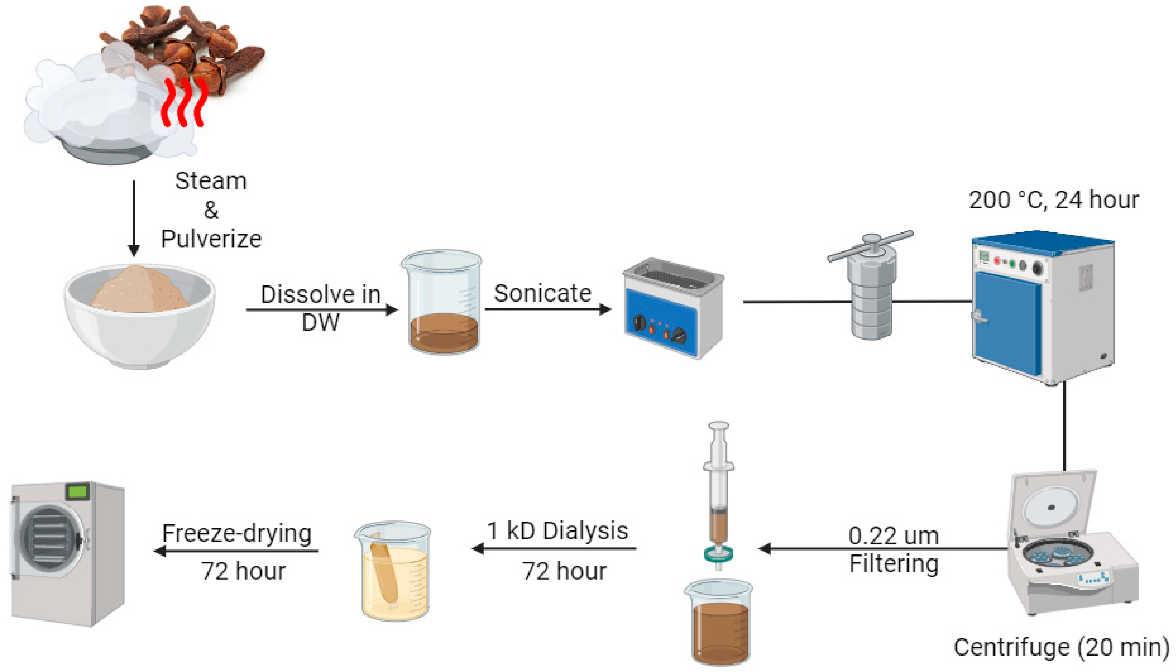 Biomedicines 13 00527 g001