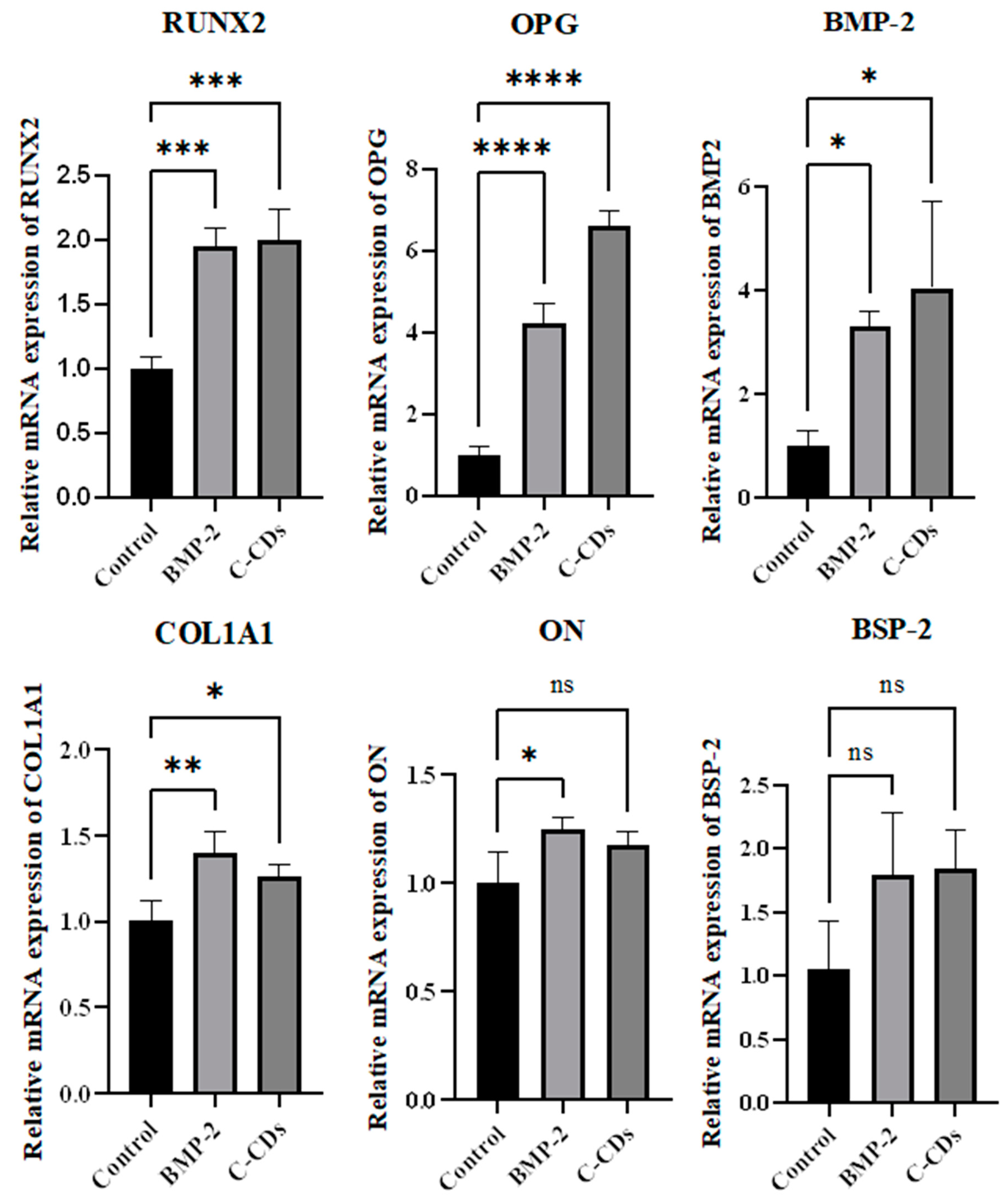 Biomedicines 13 00527 g007