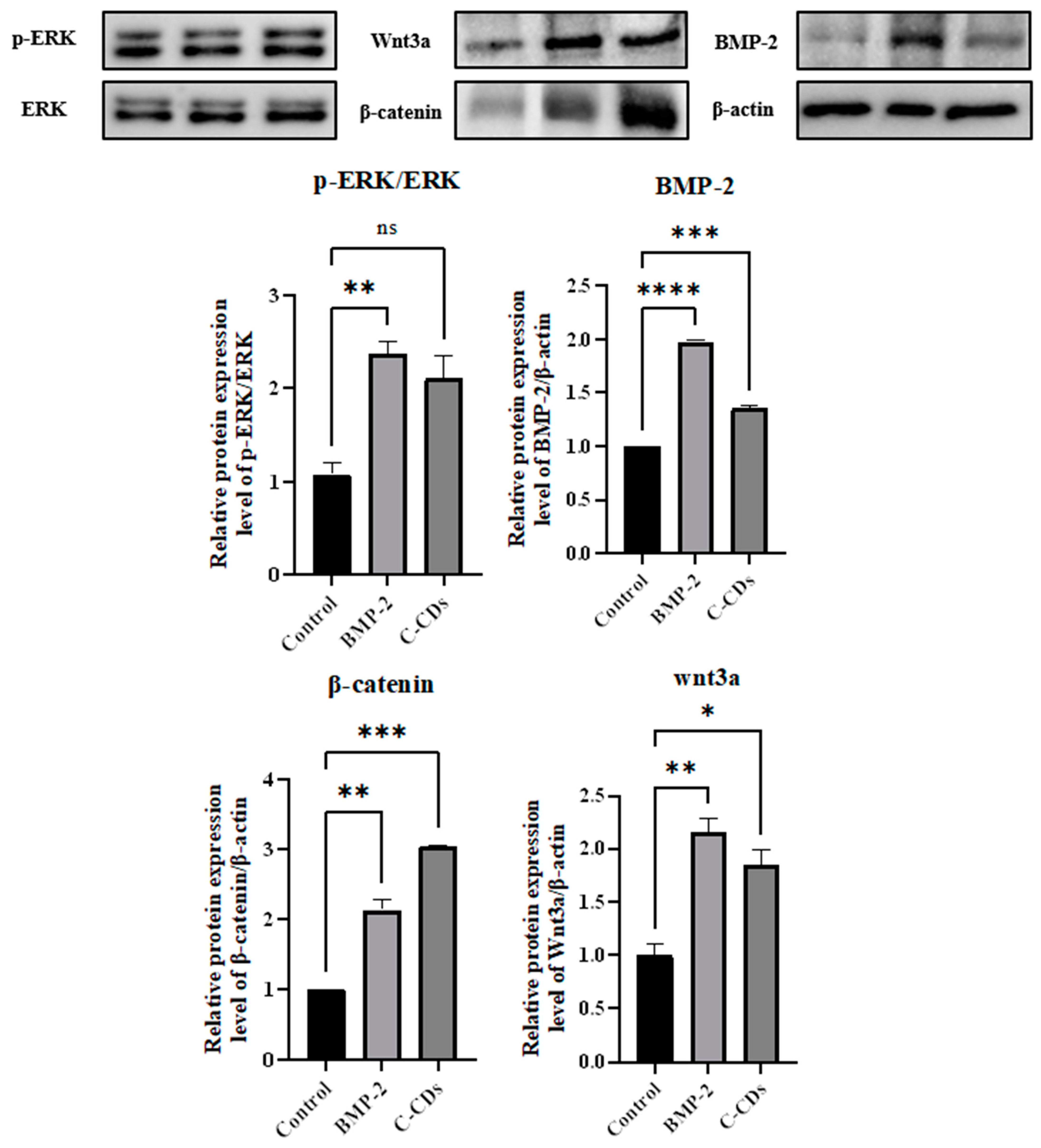 Biomedicines 13 00527 g008
