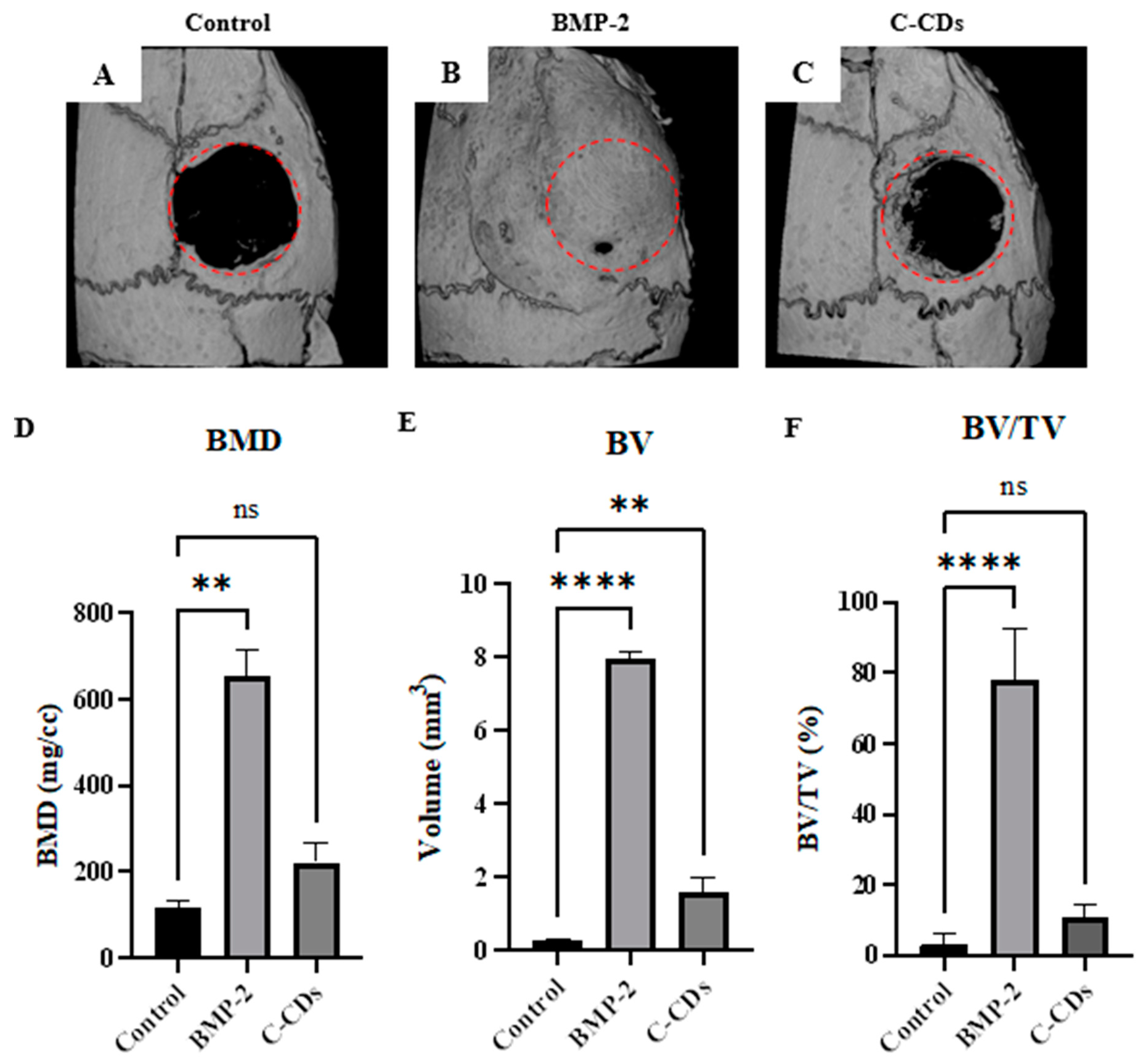 Biomedicines 13 00527 g011