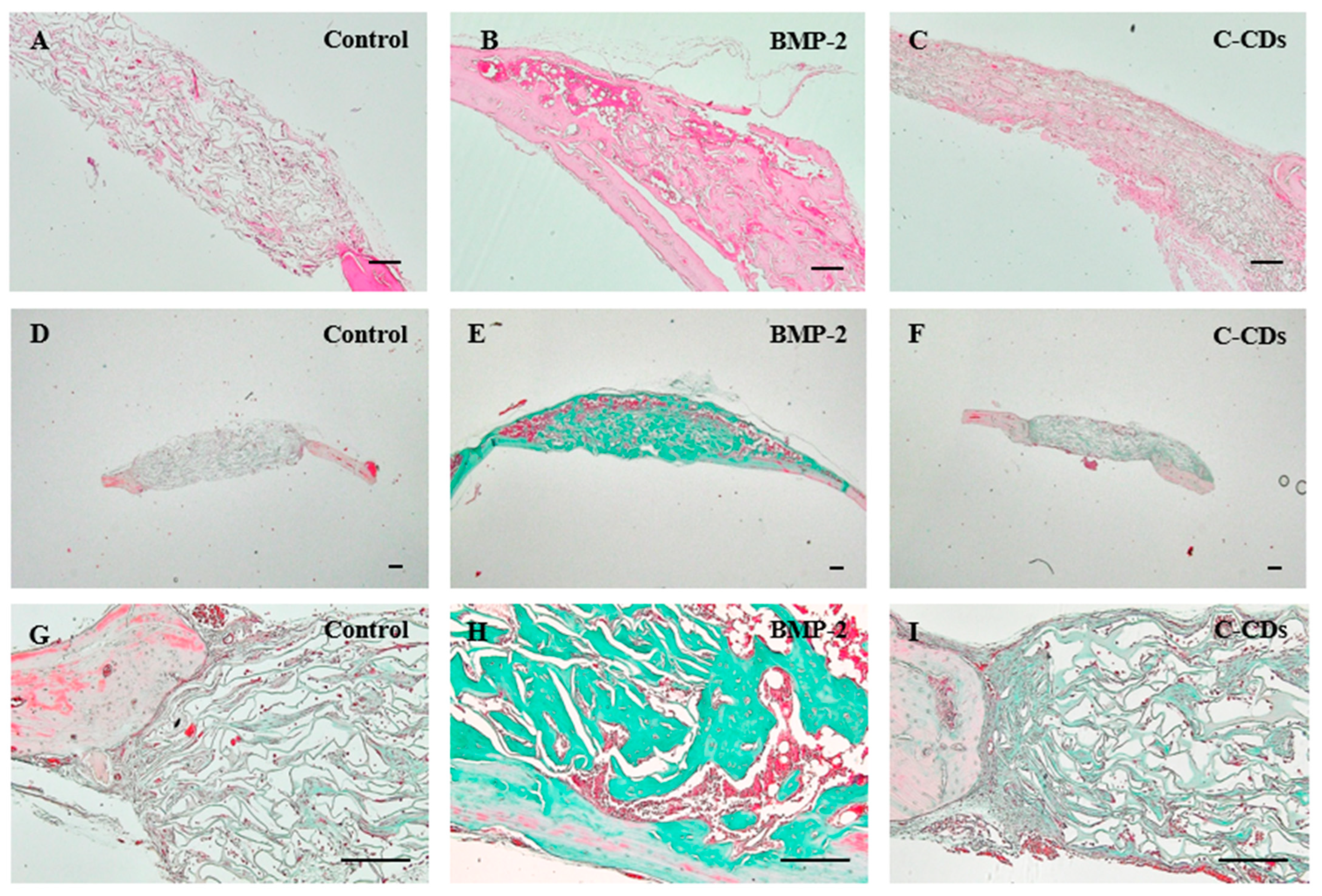 Biomedicines 13 00527 g012