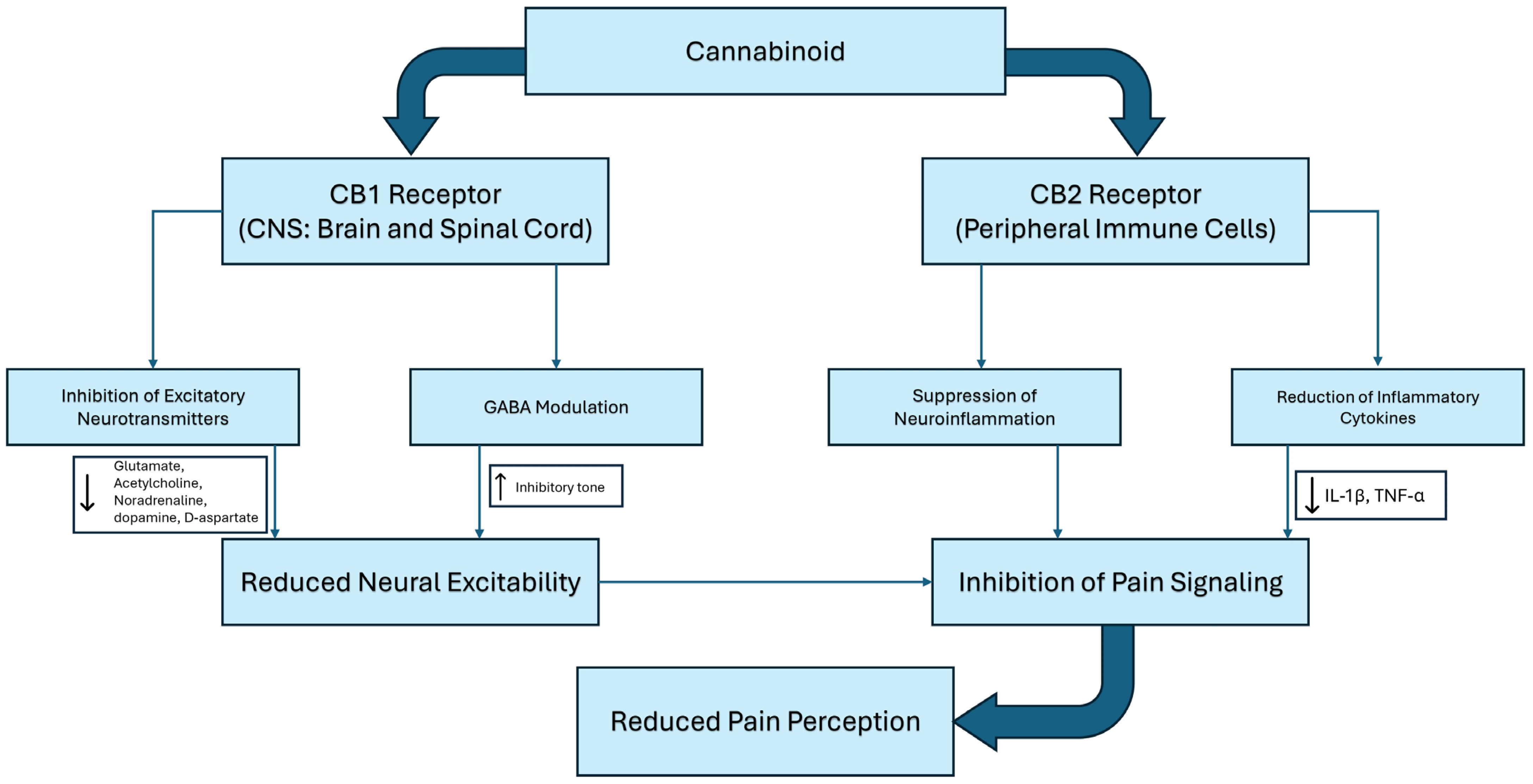 Biomedicines 13 00530 g001