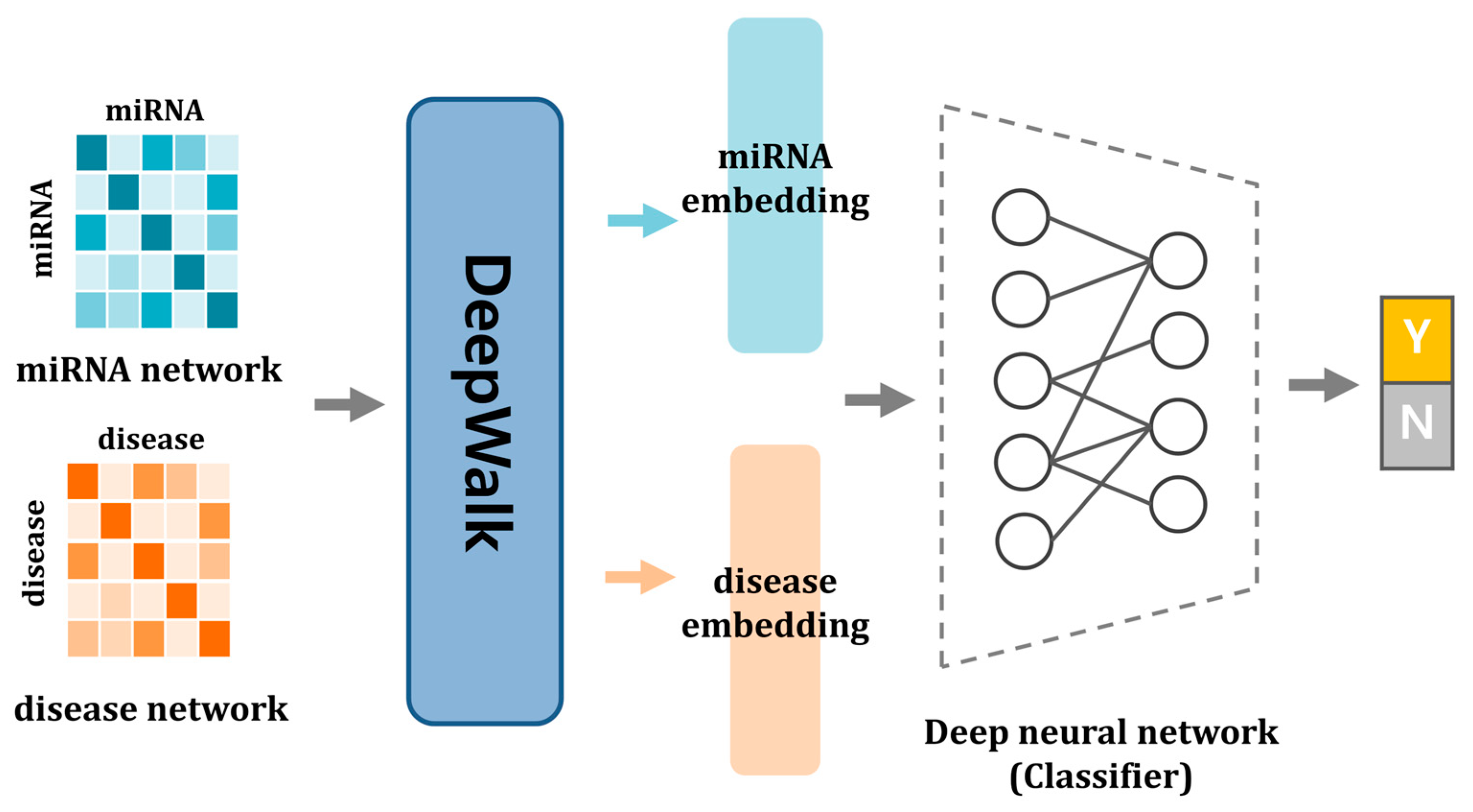 Biomedicines 13 00536 g001