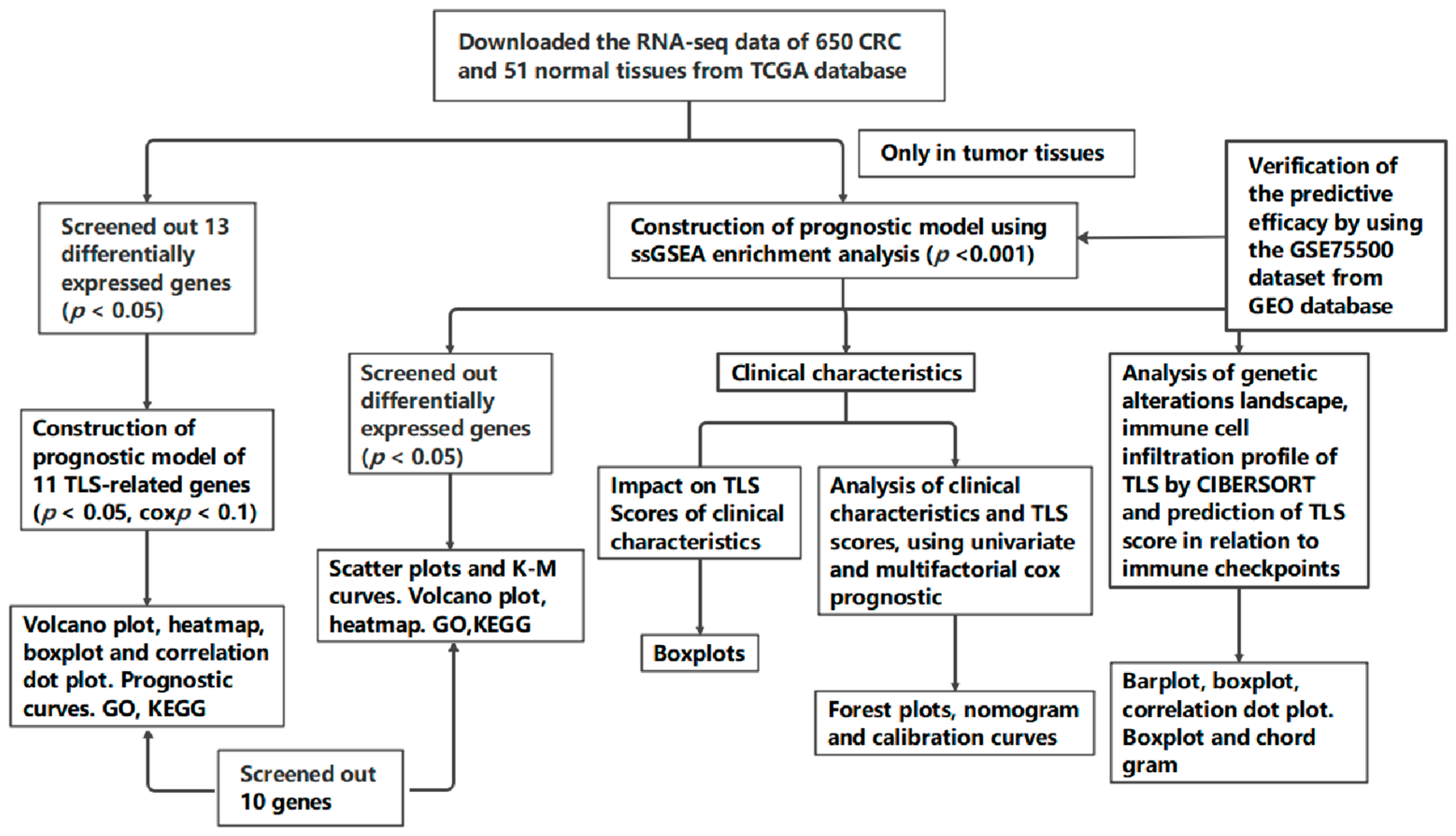 Biomedicines 13 00539 g001
