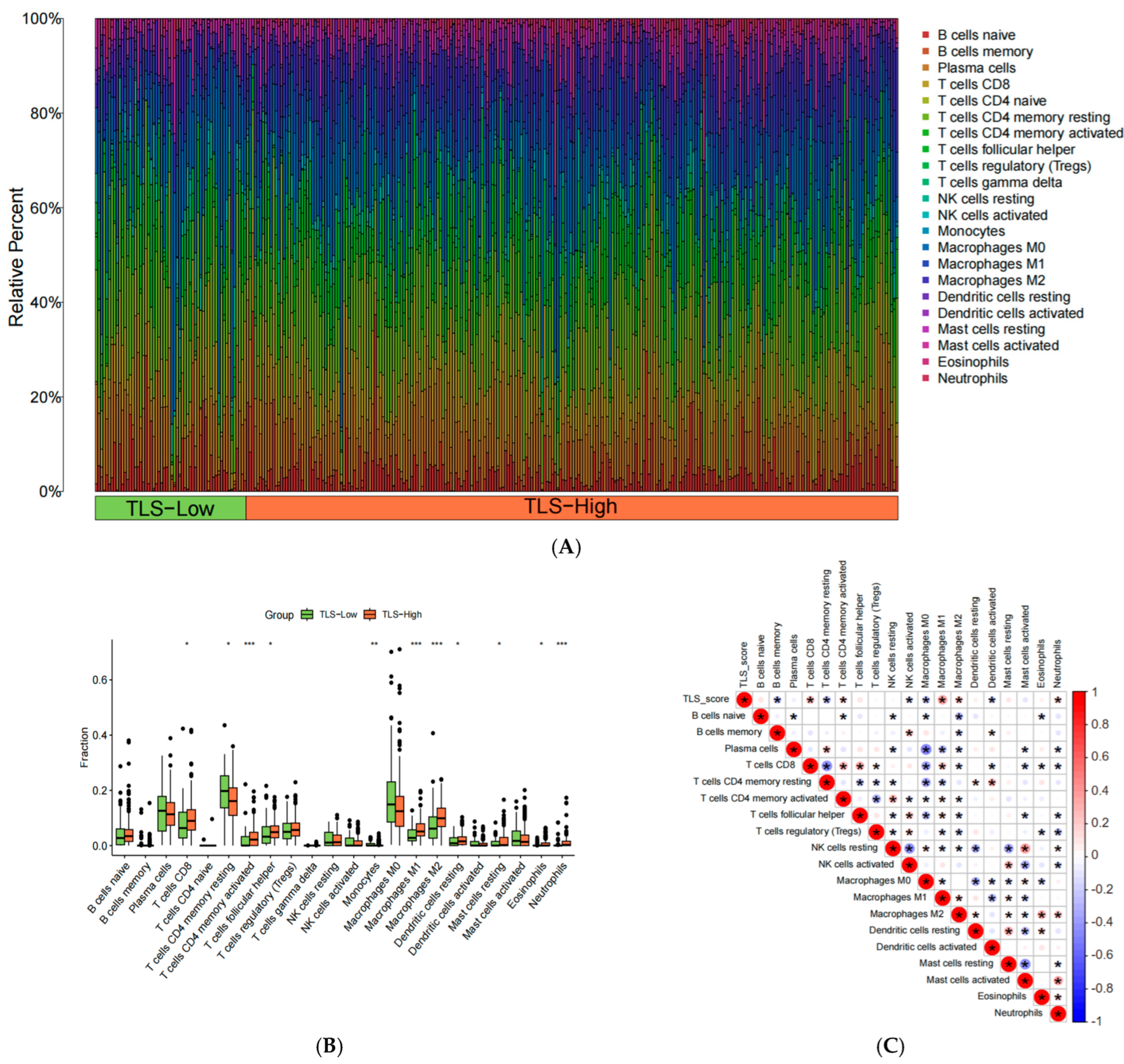 Biomedicines 13 00539 g011