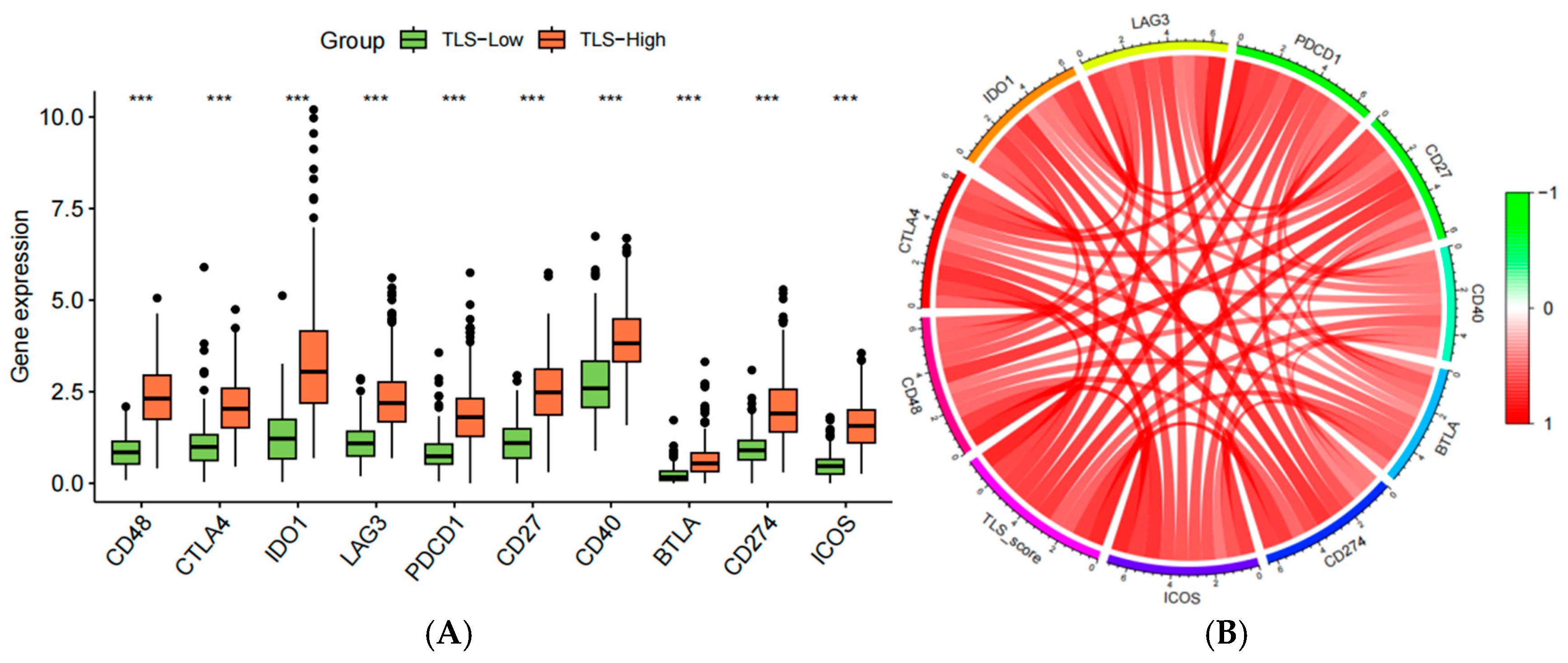 Biomedicines 13 00539 g012