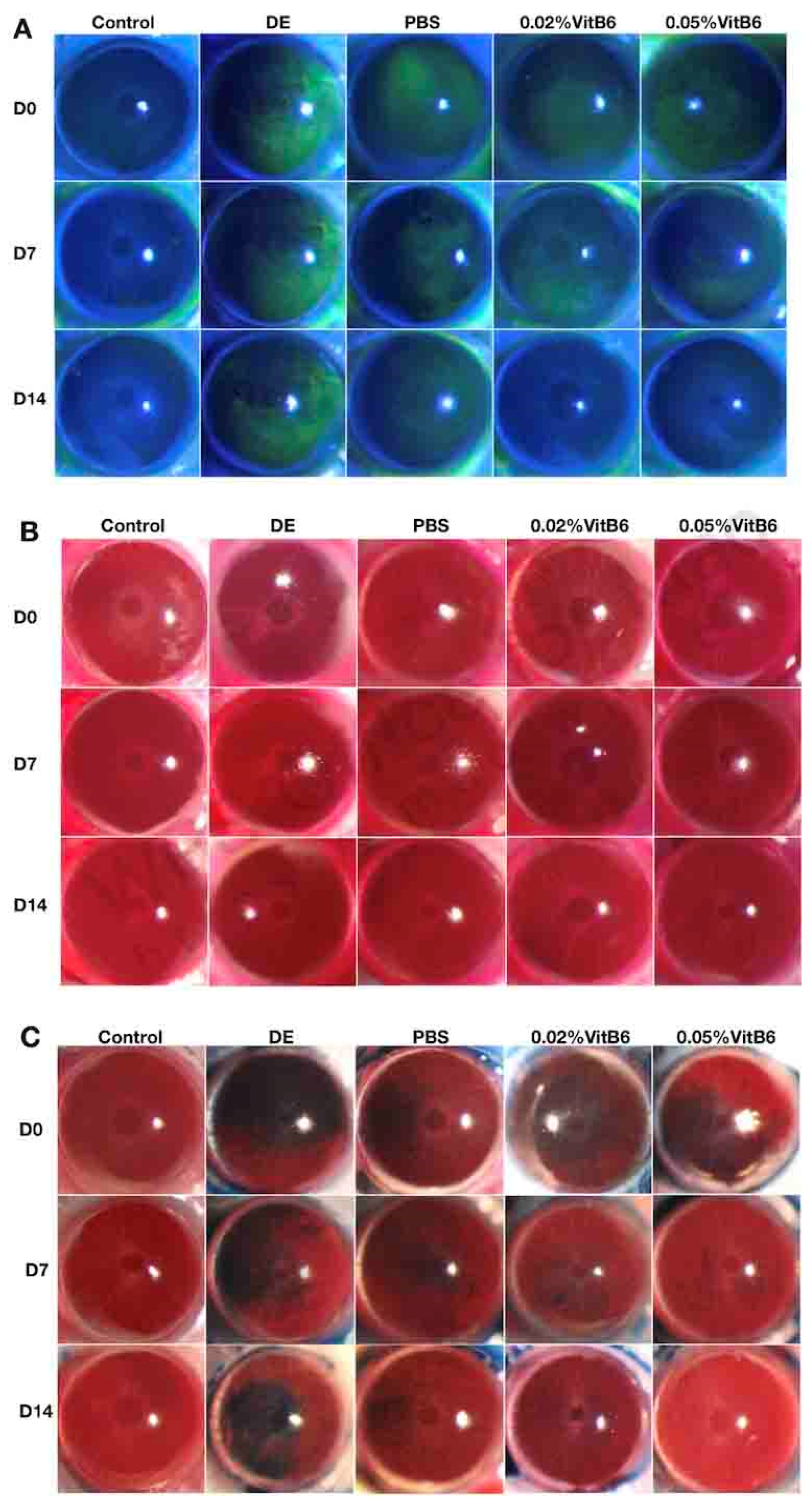 Biomedicines 13 00541 g001
