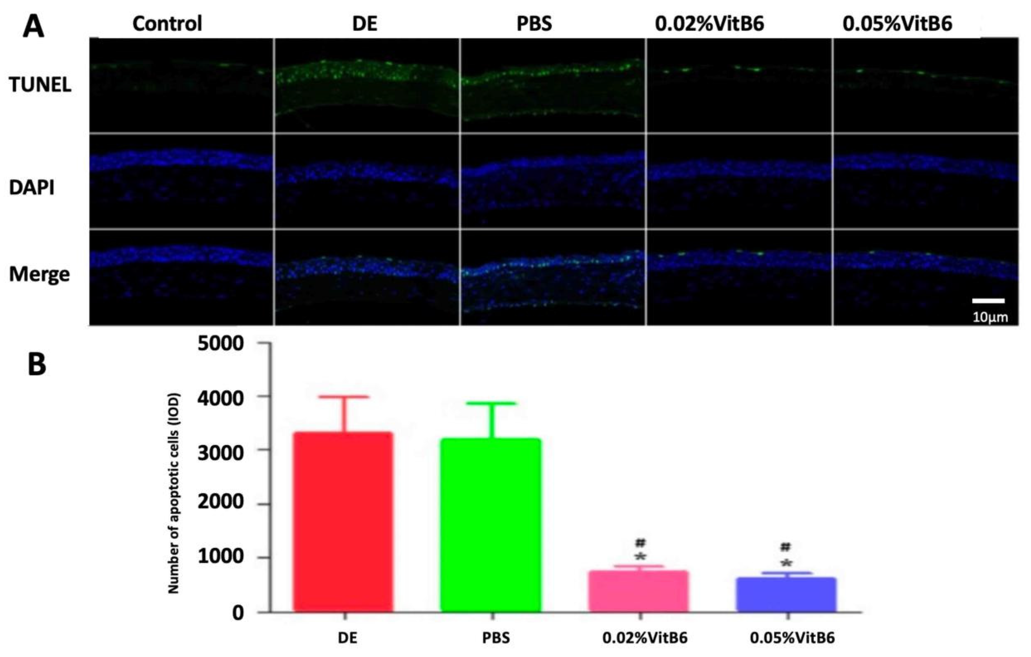 Biomedicines 13 00541 g005