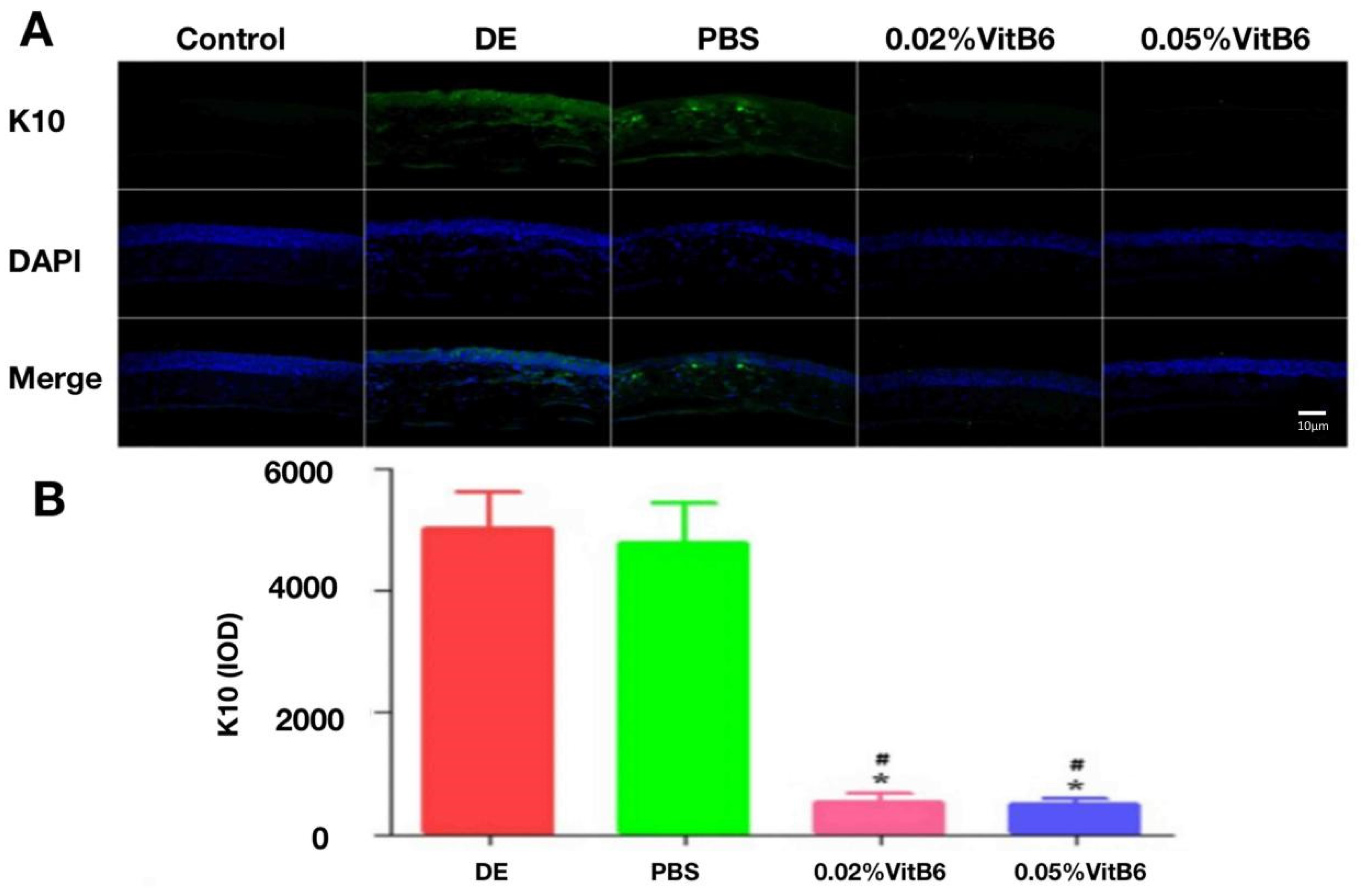 Biomedicines 13 00541 g007