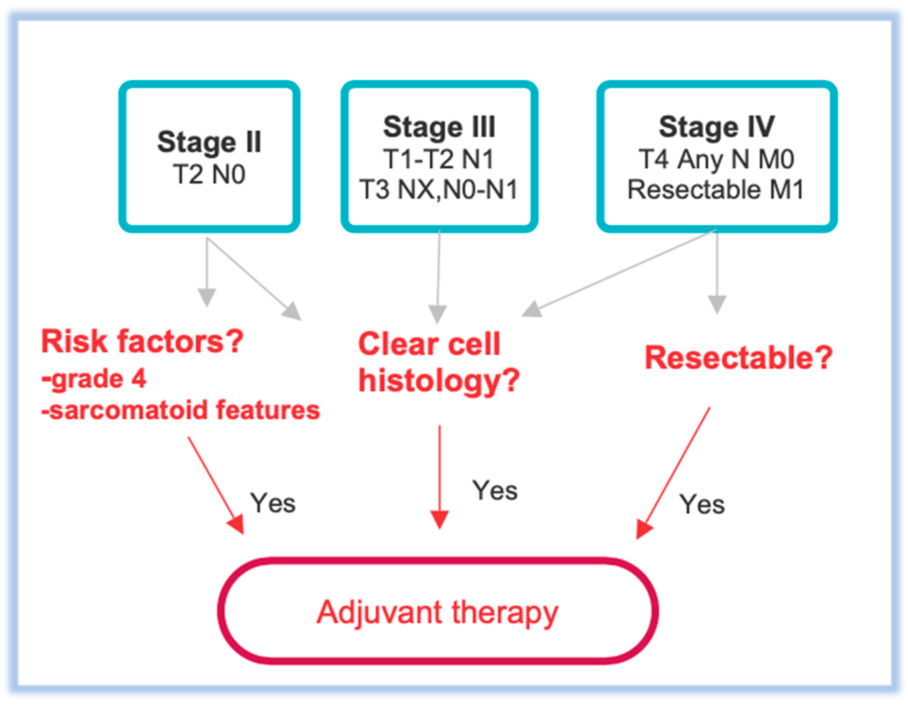 Biomedicines 13 00543 g001