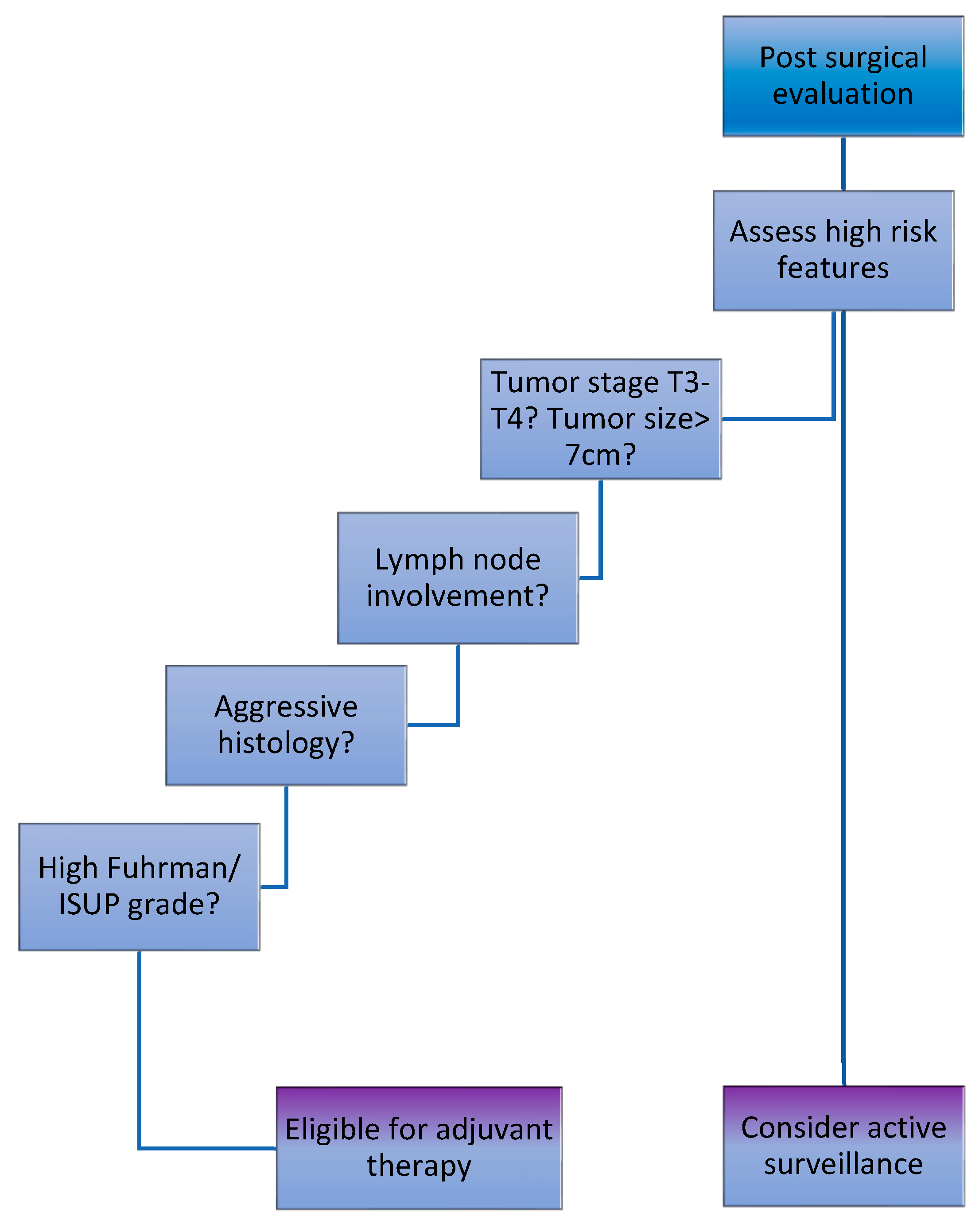Biomedicines 13 00543 g002
