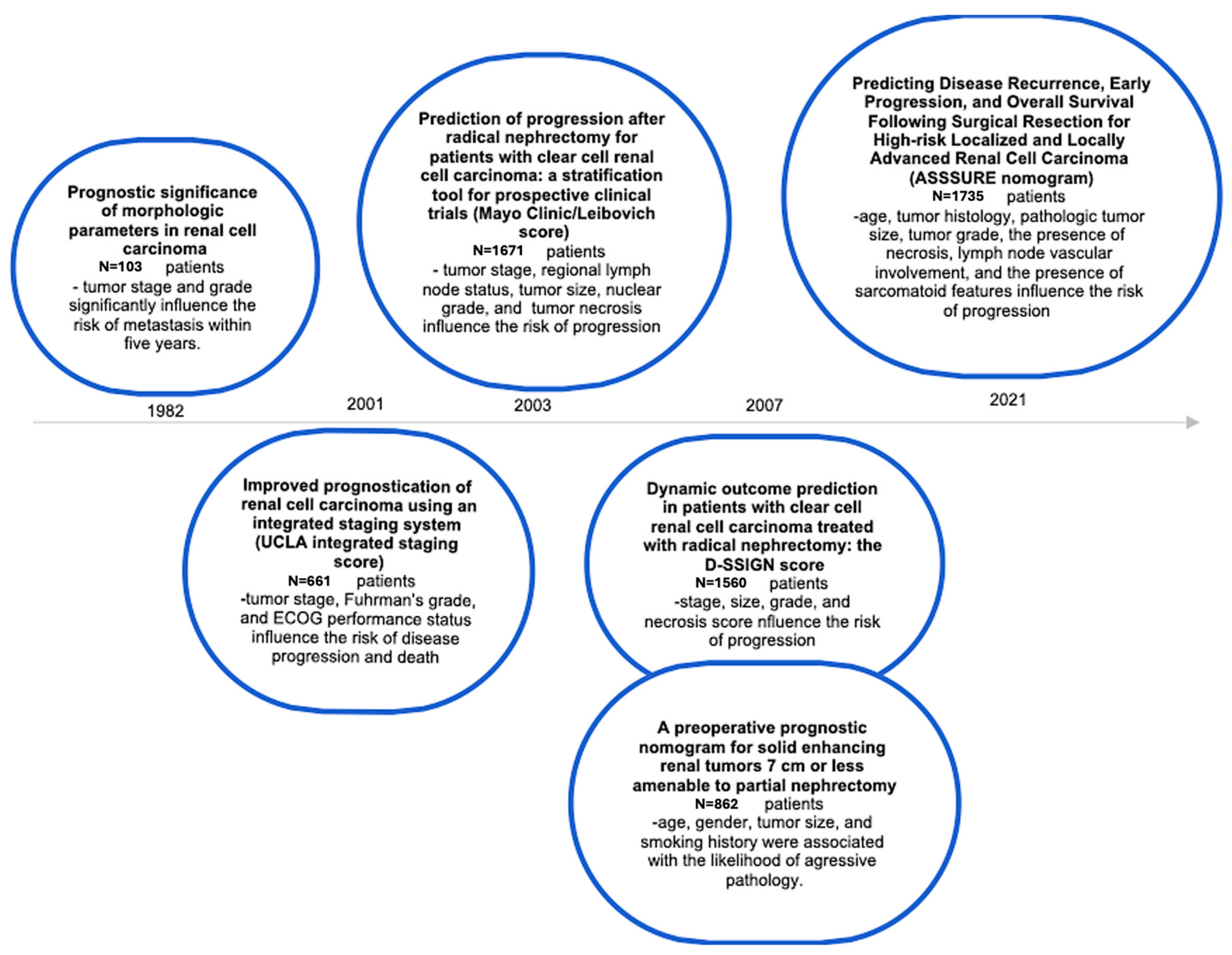 Biomedicines 13 00543 g003