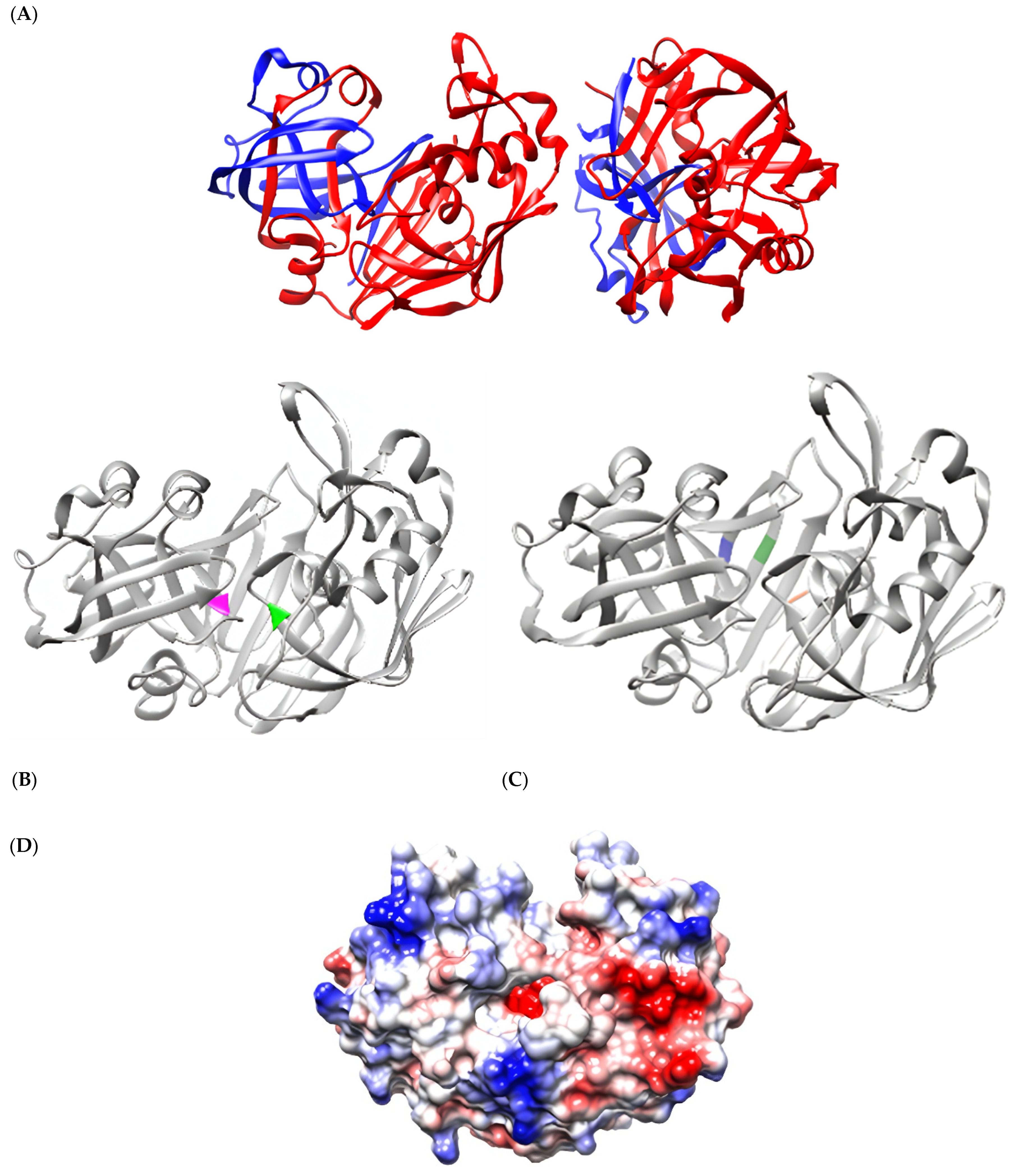 Biomedicines 13 00544 g001 Biomedicines 13 00544 g001