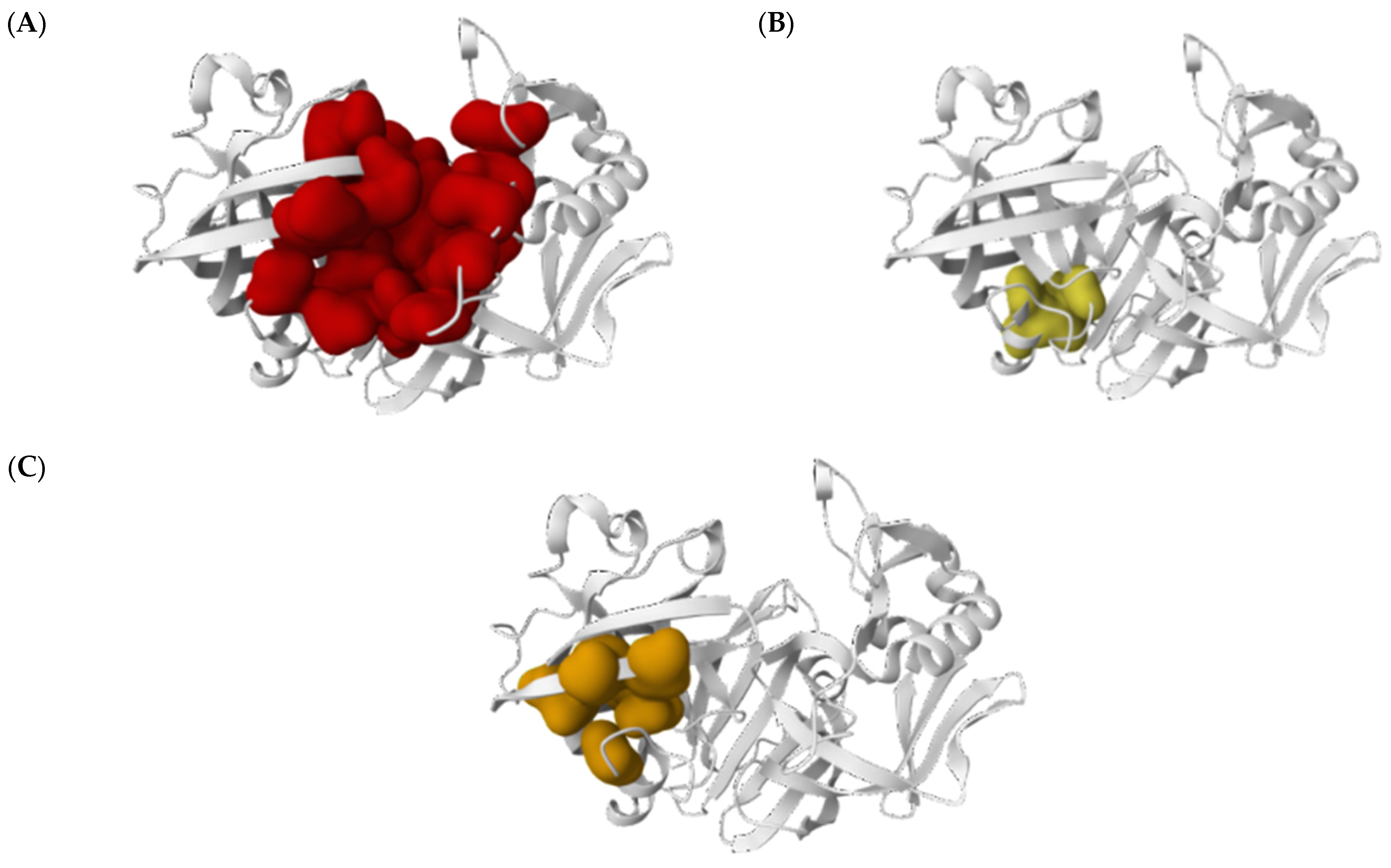 Biomedicines 13 00544 g003 Biomedicines 13 00544 g003